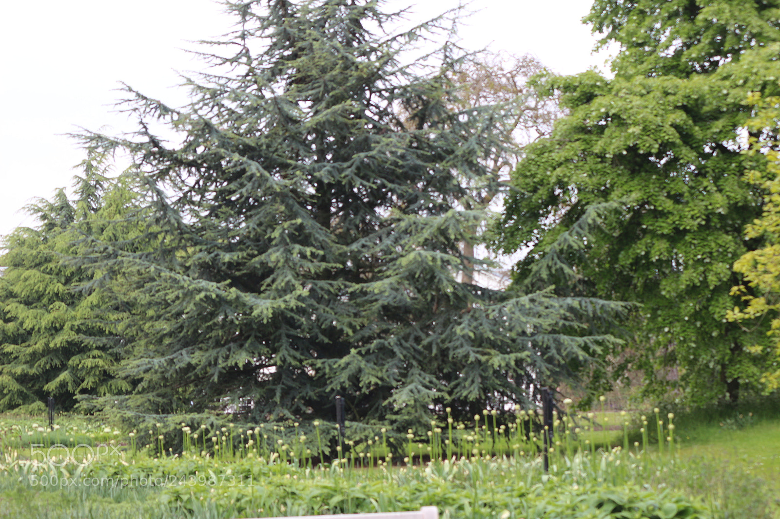 Canon EOS 650D (EOS Rebel T4i / EOS Kiss X6i) sample photo. Img photography