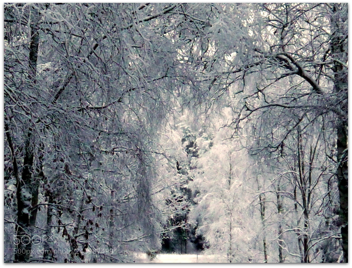 Panasonic Lumix DMC-G3 sample photo. Icecold snow photography