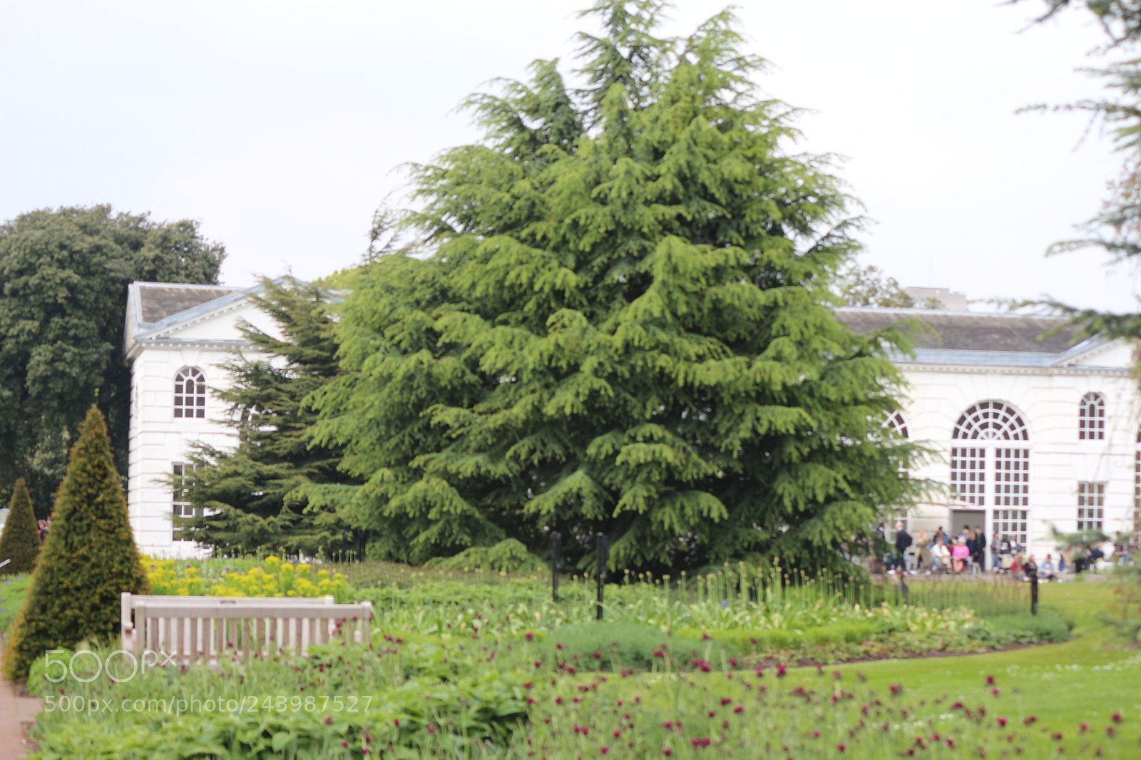 Canon EOS 650D (EOS Rebel T4i / EOS Kiss X6i) sample photo. Img photography