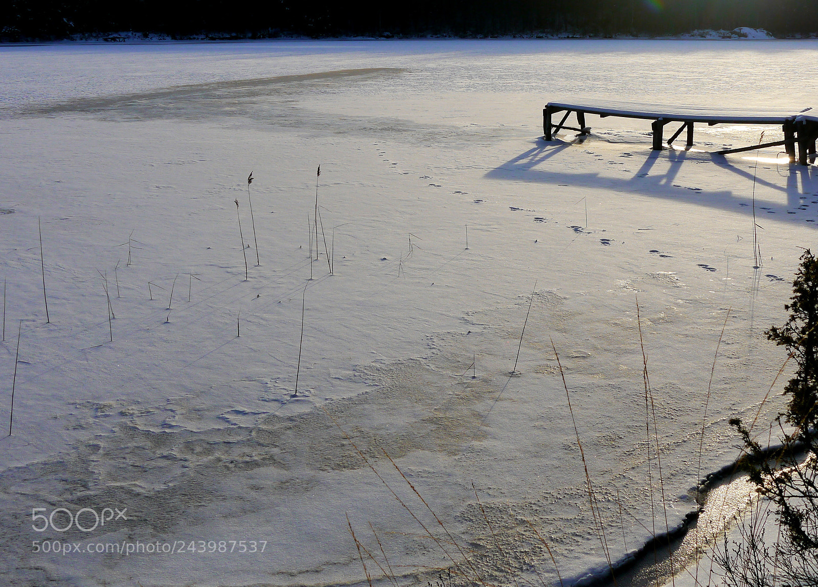 Panasonic Lumix DMC-G3 sample photo. Icecold snow photography