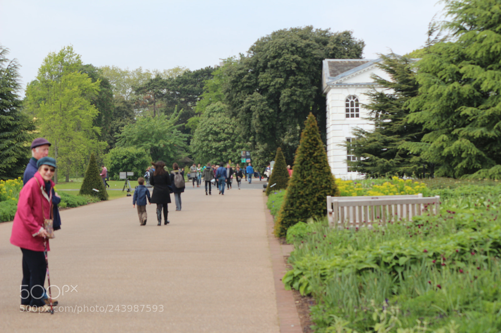 Canon EOS 650D (EOS Rebel T4i / EOS Kiss X6i) sample photo. Img photography
