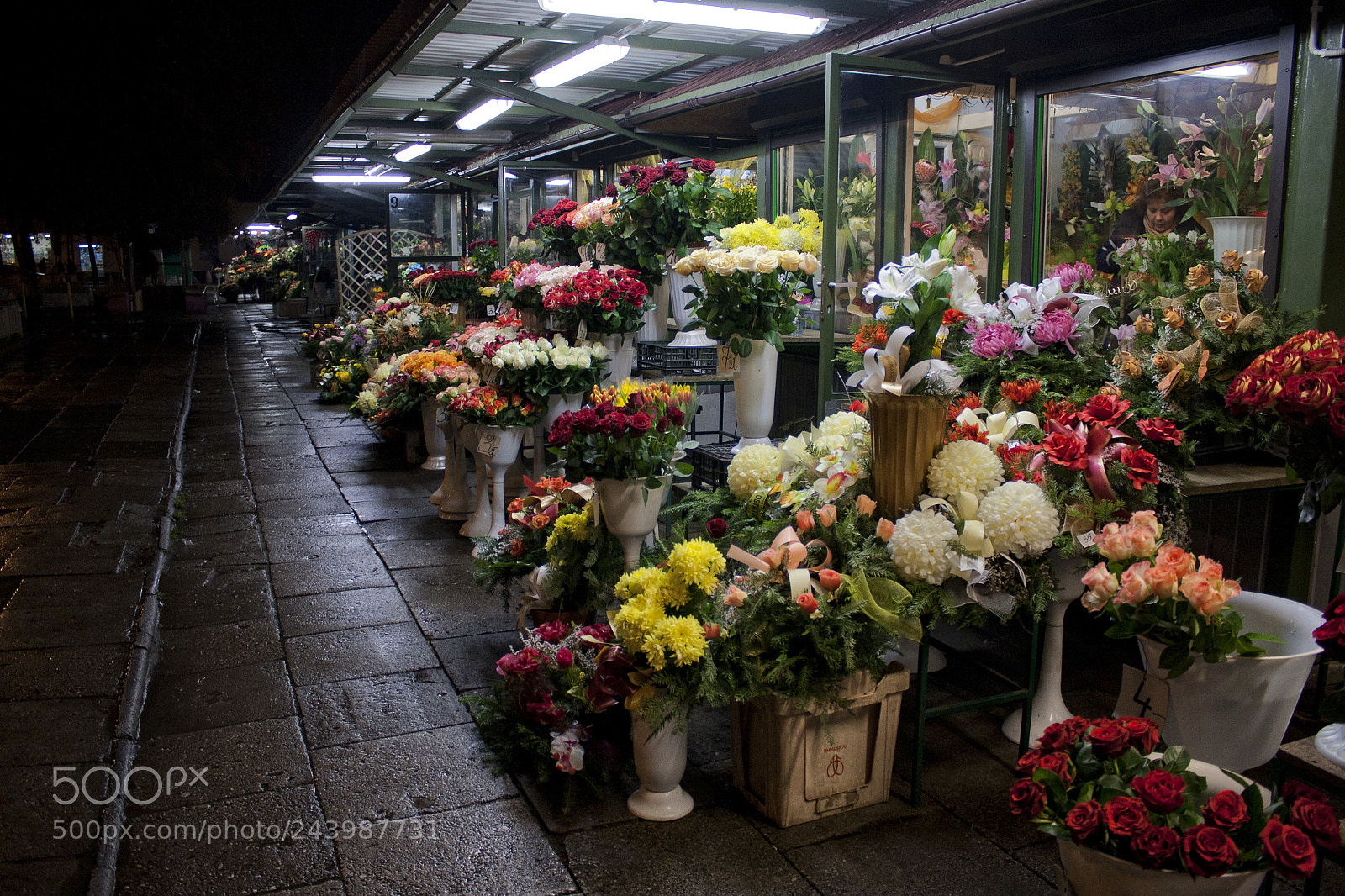 Canon EOS 40D sample photo. Remember they want to photography