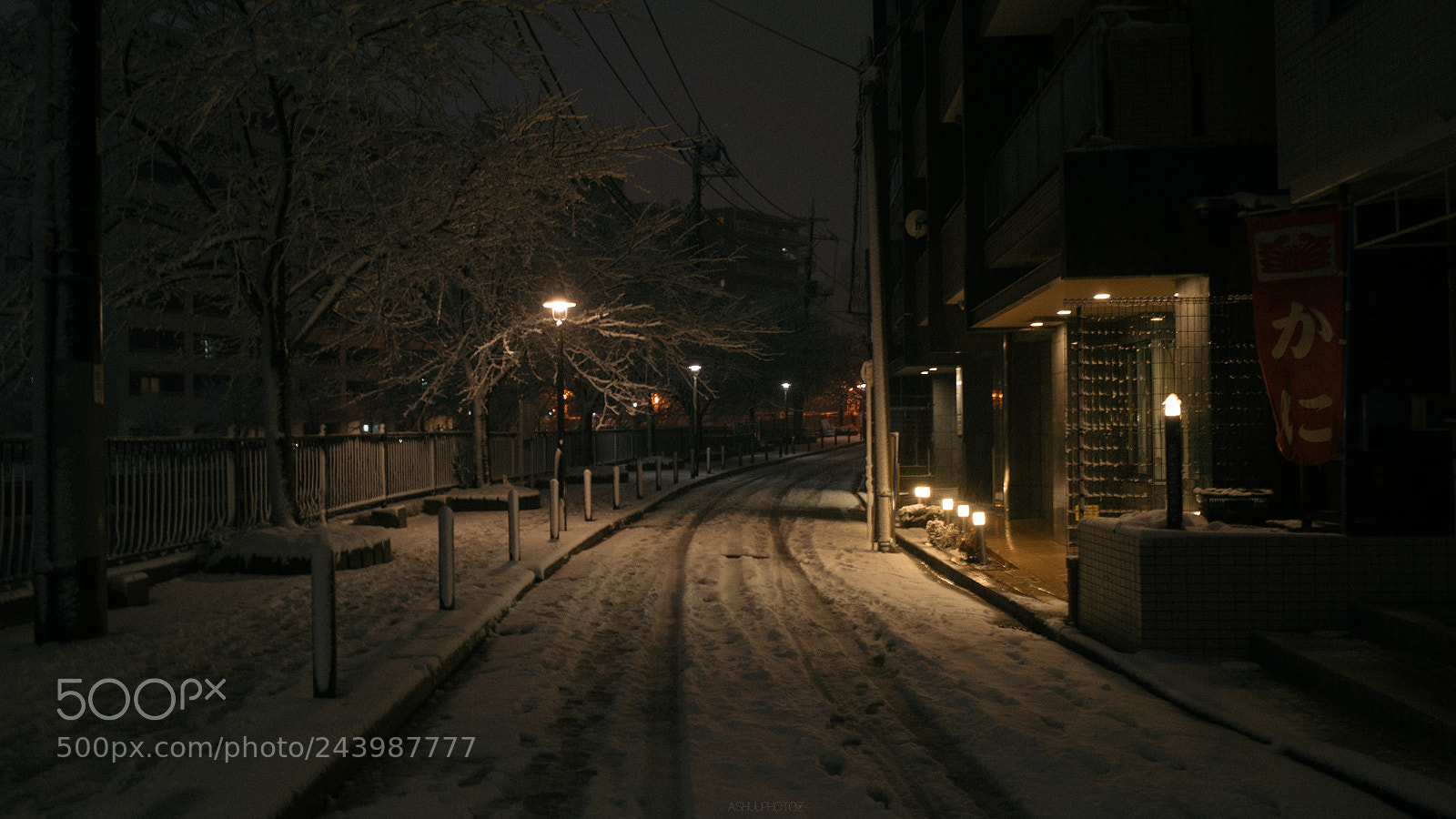 Ricoh GR II sample photo. The snow scene photography
