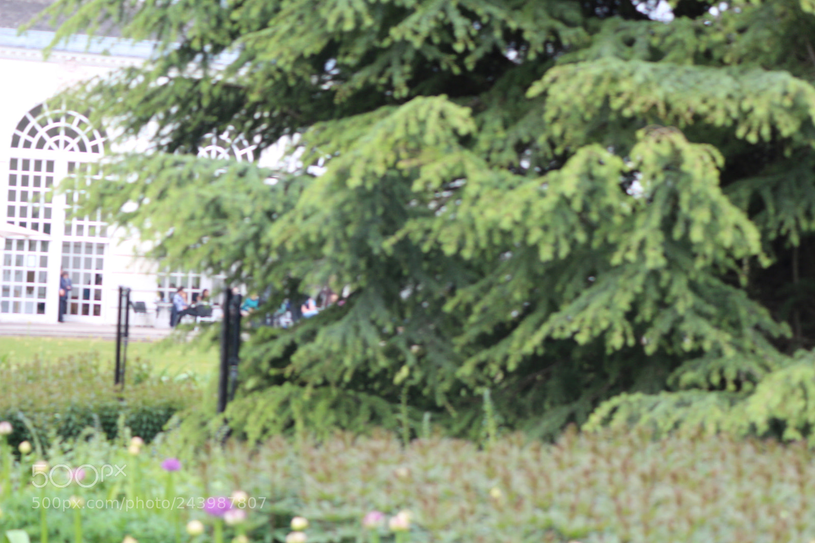 Canon EOS 650D (EOS Rebel T4i / EOS Kiss X6i) sample photo. Img photography
