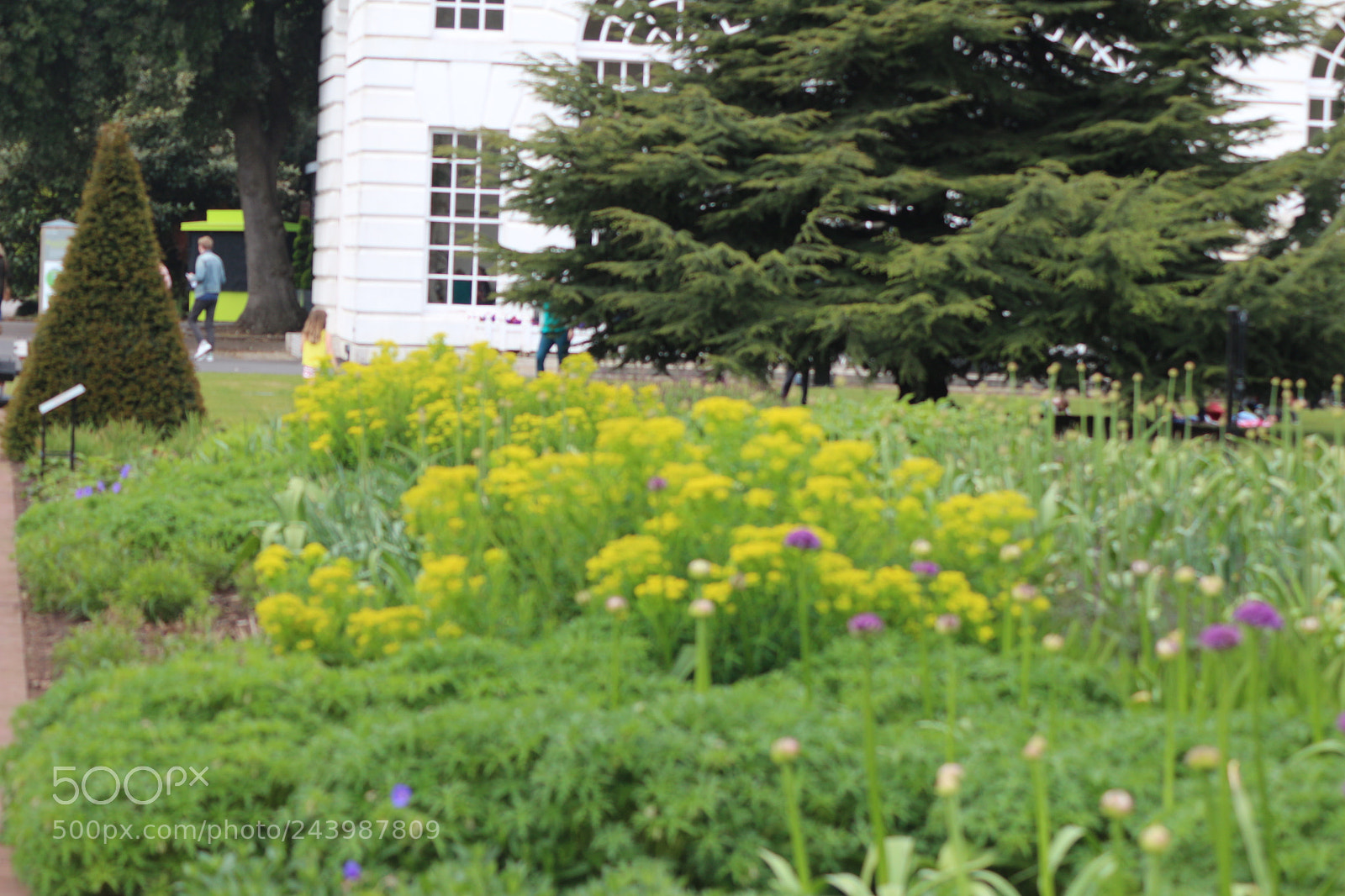 Canon EOS 650D (EOS Rebel T4i / EOS Kiss X6i) sample photo. Img photography