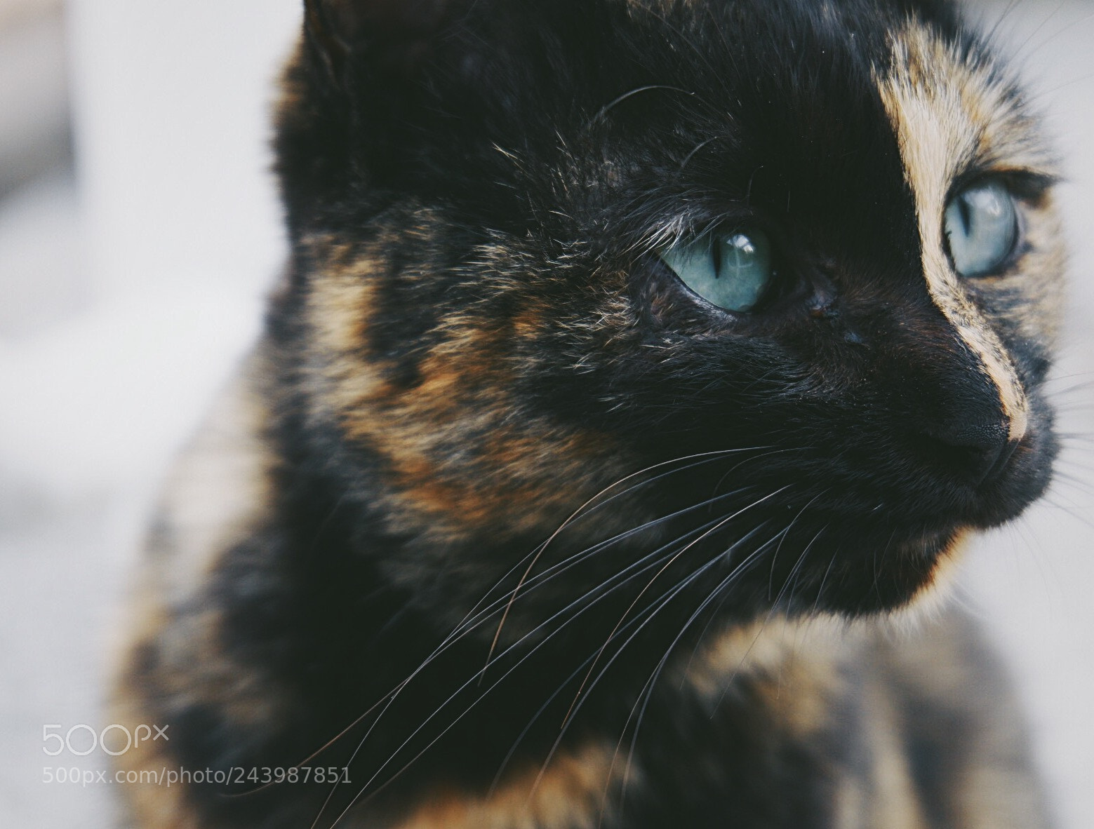 Fujifilm X-A3 sample photo. Untitled photography
