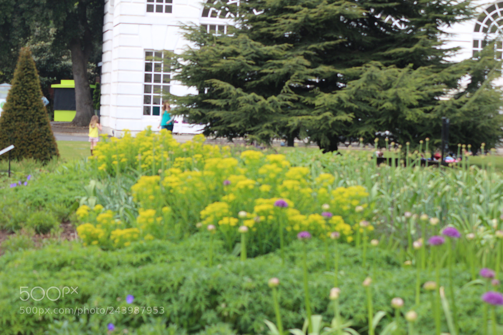 Canon EOS 650D (EOS Rebel T4i / EOS Kiss X6i) sample photo. Img photography