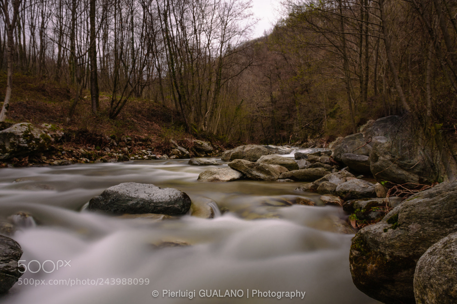 Nikon D7200 sample photo. Creek malone photography