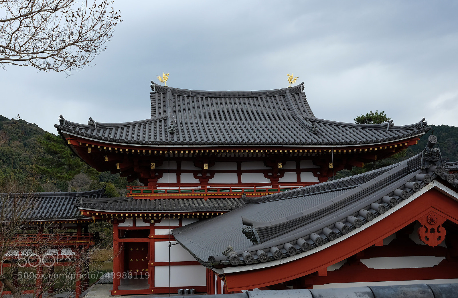 Fujifilm X-T10 sample photo. The beautiful photography