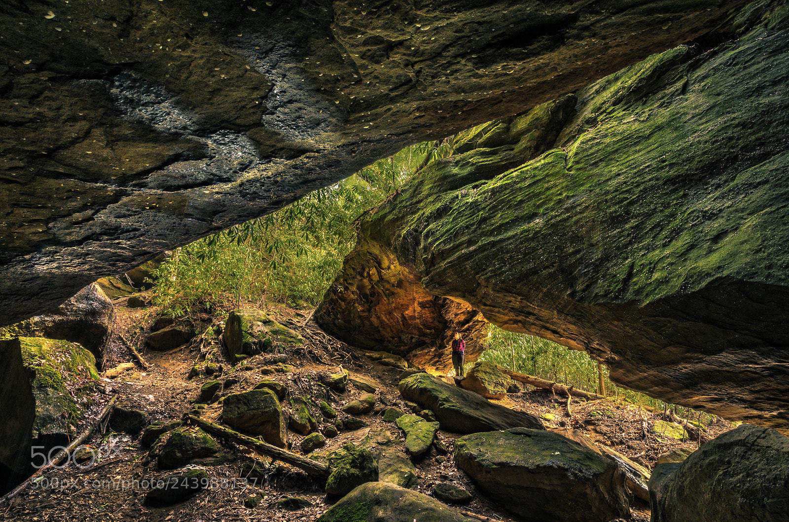 Nikon D5100 sample photo. Silvermine arch photography