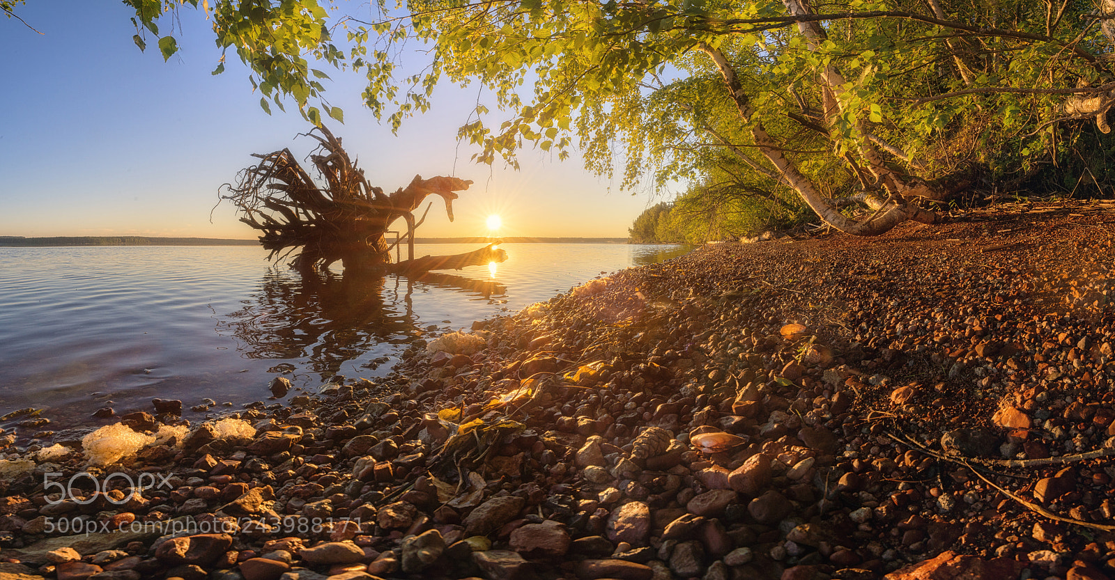 Nikon D610 sample photo. 829. morning on the photography