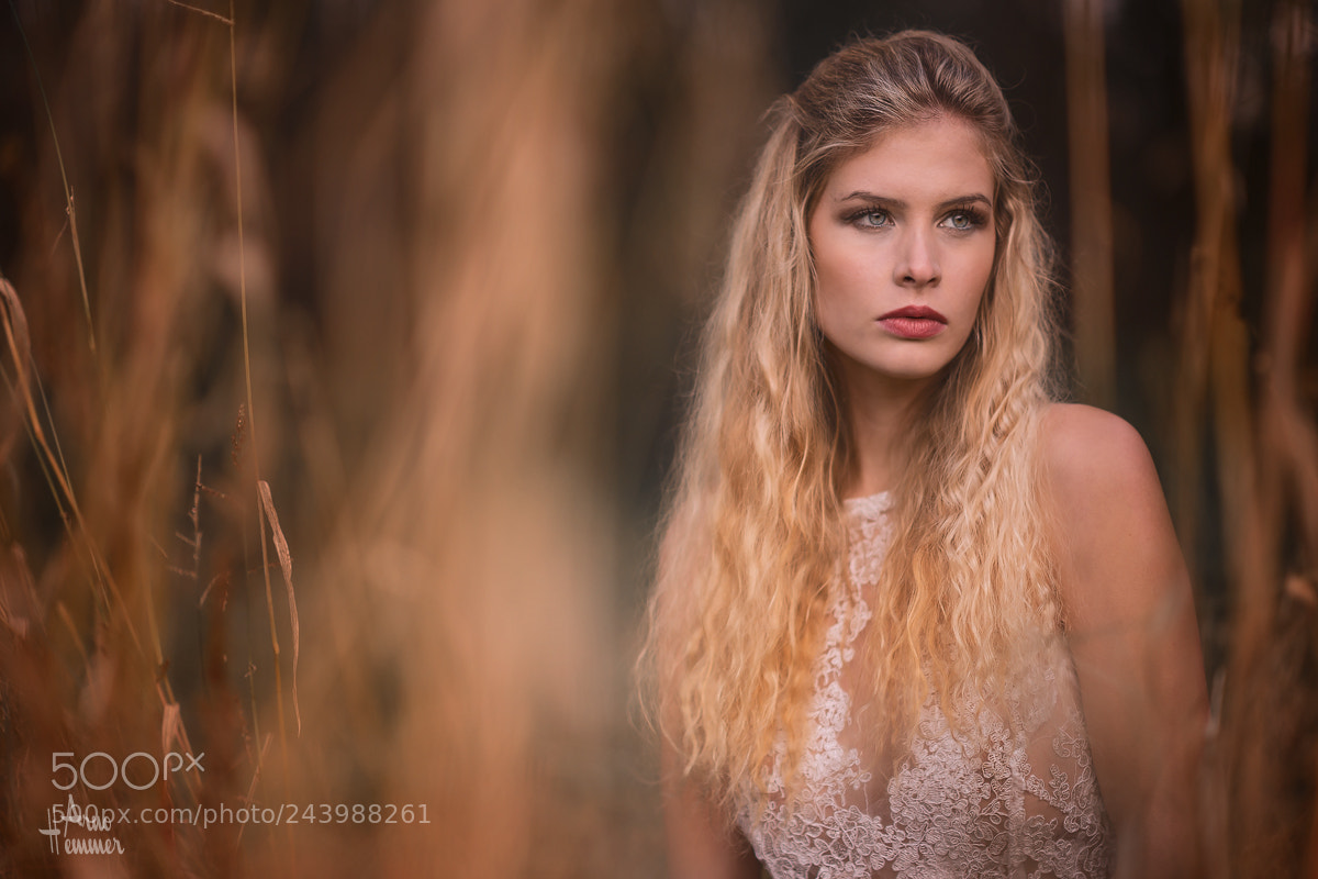 Nikon D610 sample photo. Venkara photography