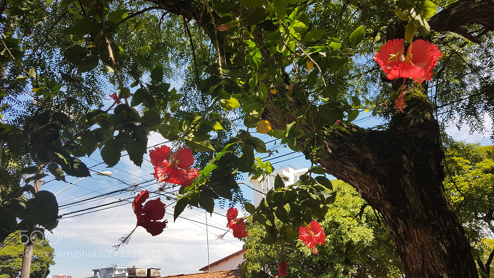 Samsung Galaxy S7 sample photo. Untitled photography