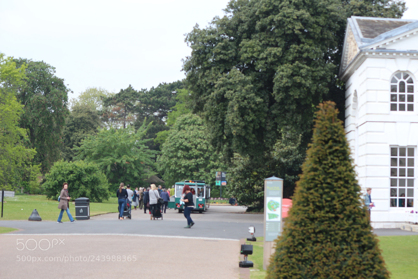 Canon EOS 650D (EOS Rebel T4i / EOS Kiss X6i) sample photo. Img photography