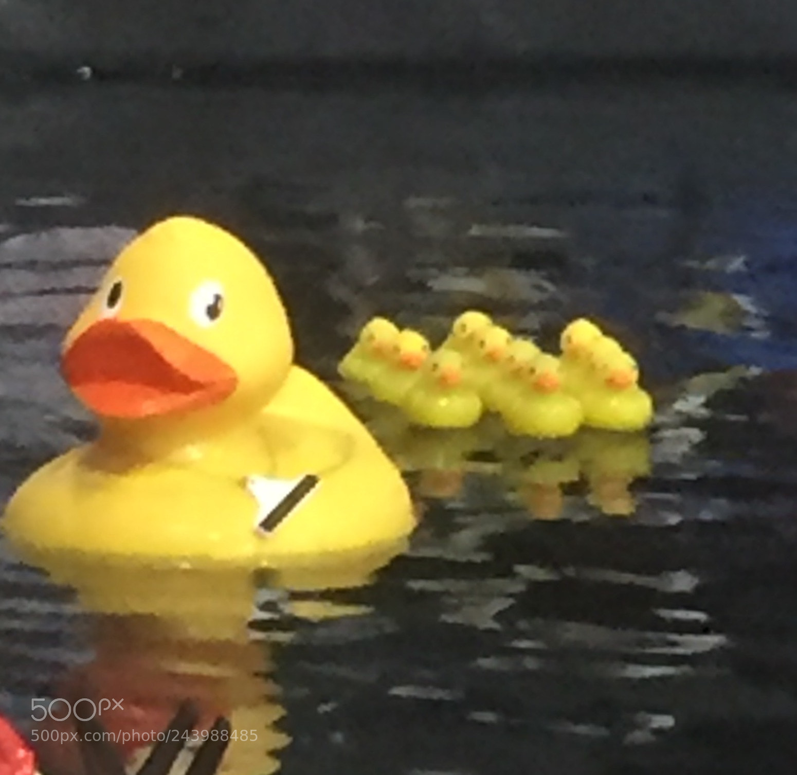 Apple iPhone 6 sample photo. Untitled photography