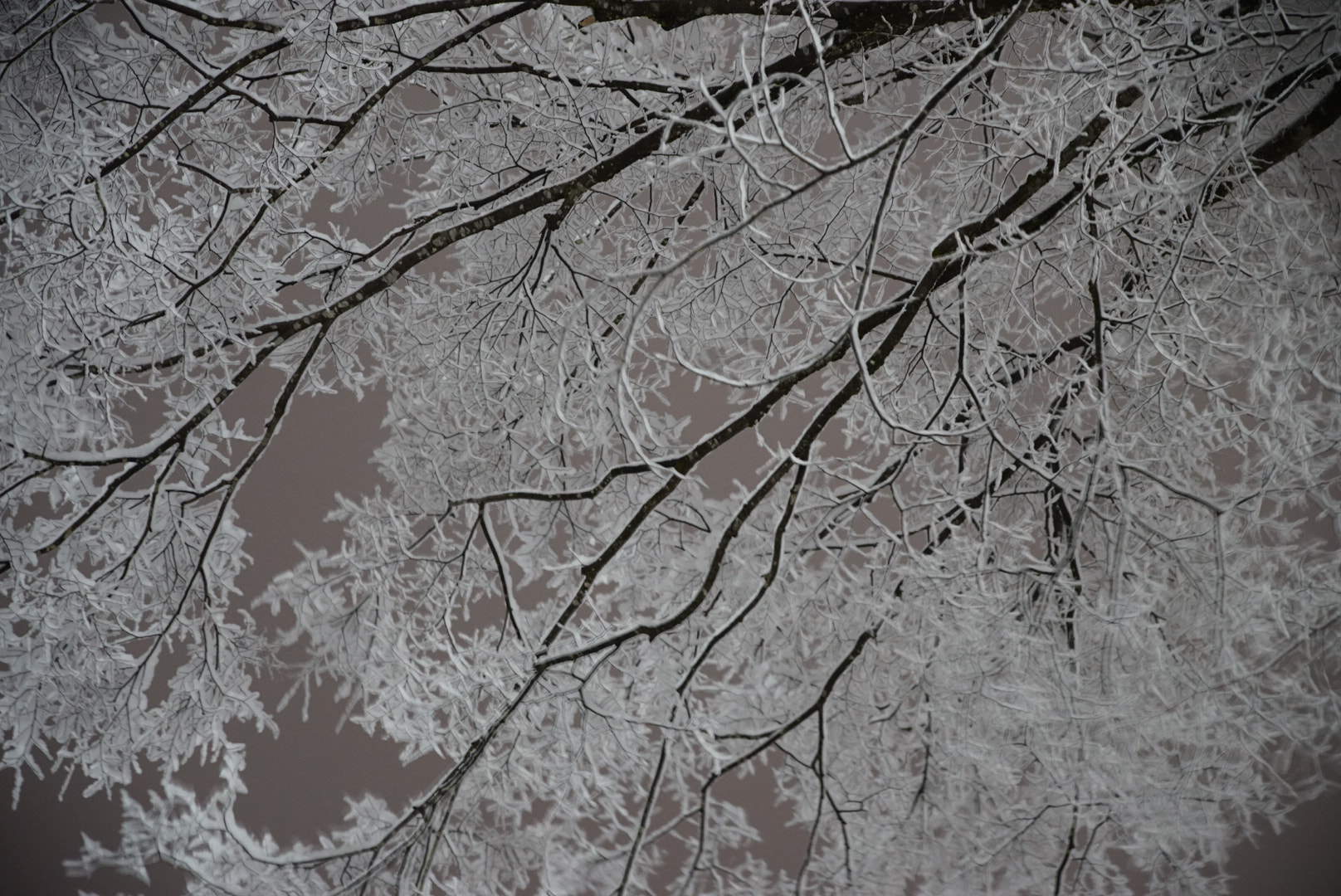 Canon EF 300mm F2.8L IS II USM sample photo. Night photography