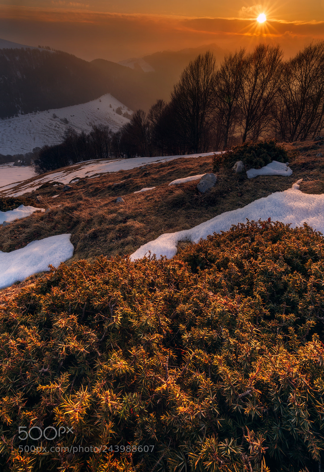 Sony a7 II sample photo. Monte di lenno photography
