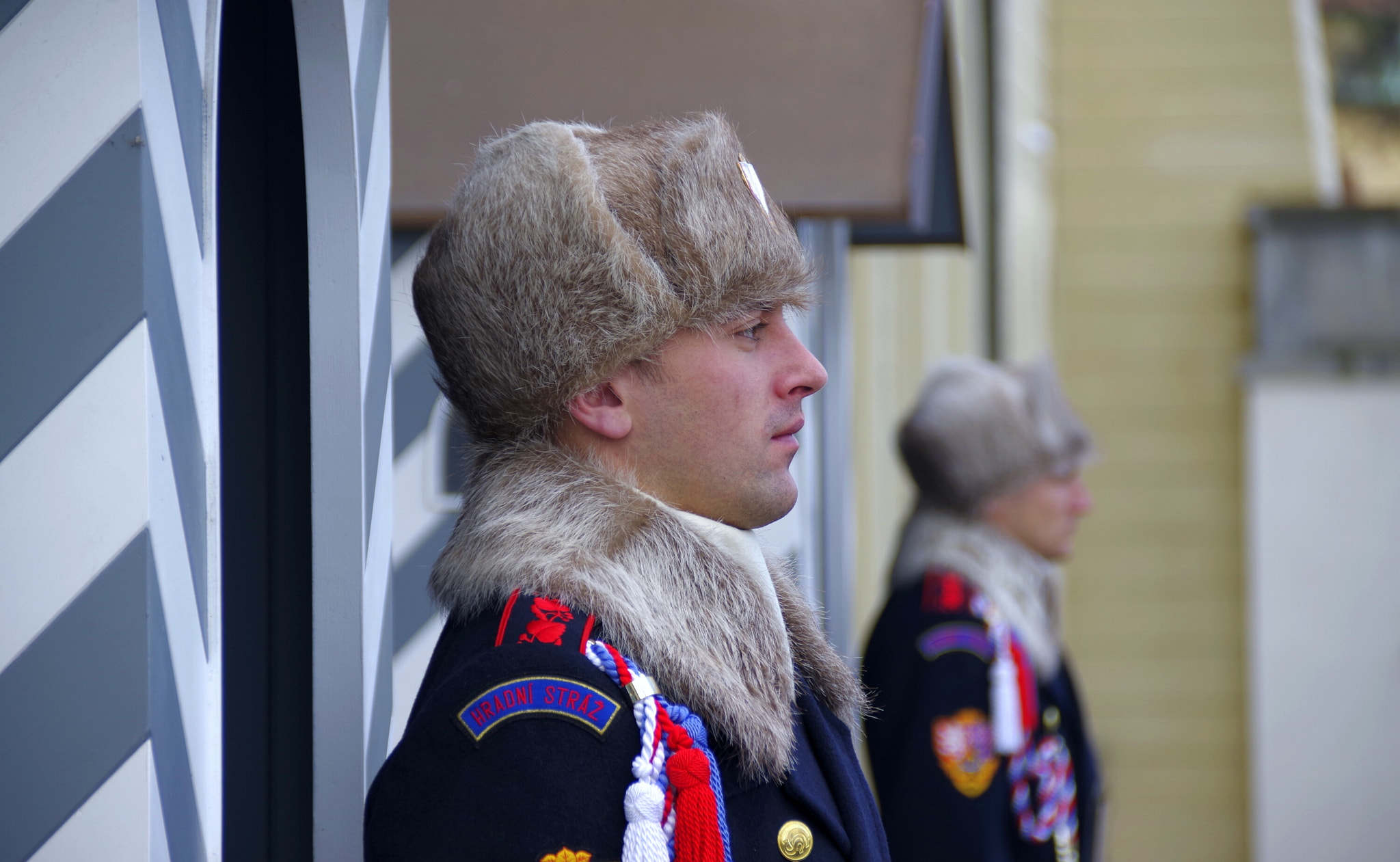 Pentax K-70 sample photo. Castle guard photography