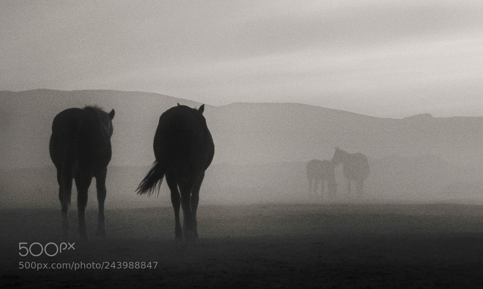 Fujifilm X-T2 sample photo. Sand storm photography