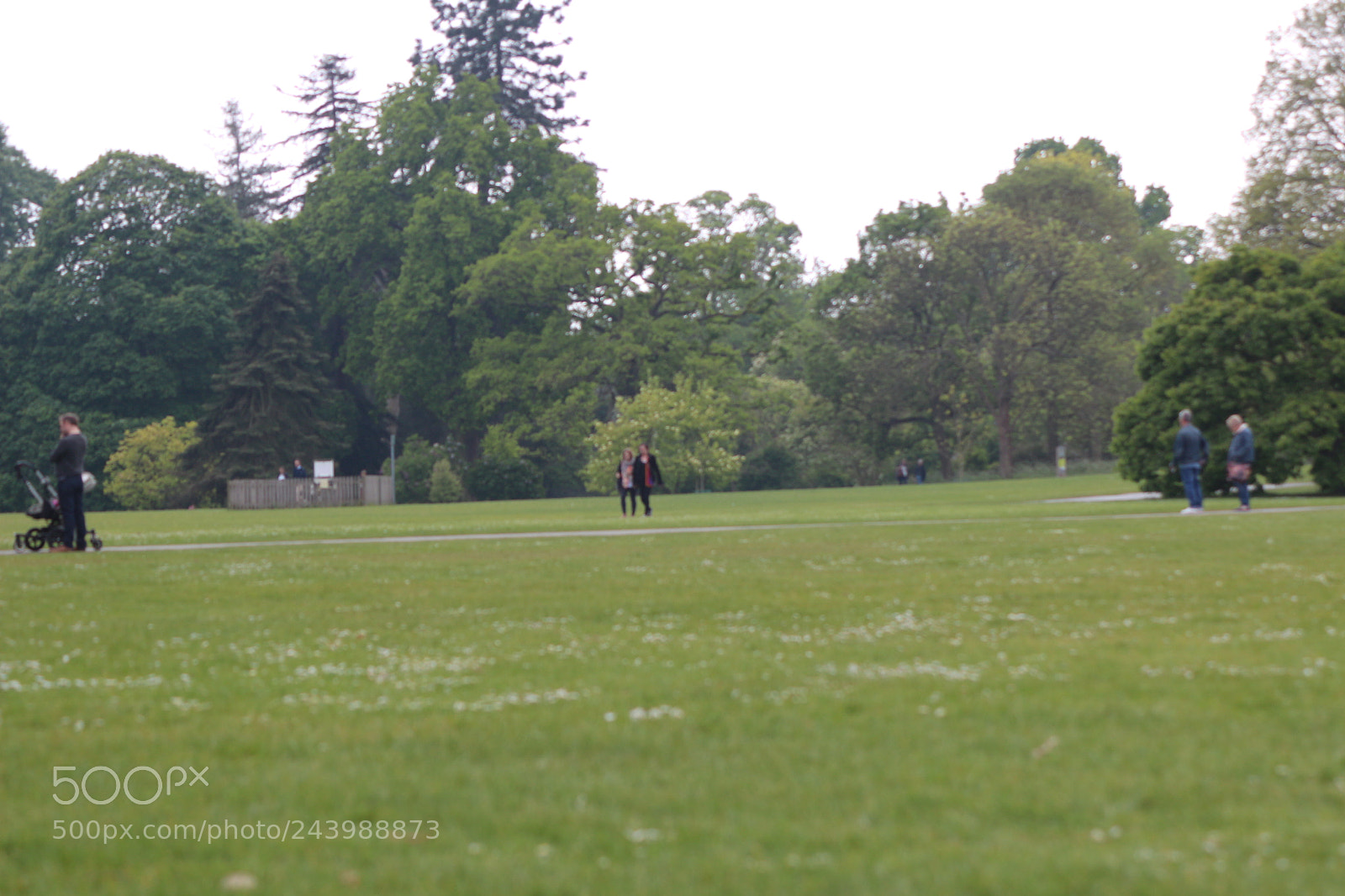 Canon EOS 650D (EOS Rebel T4i / EOS Kiss X6i) sample photo. Img photography