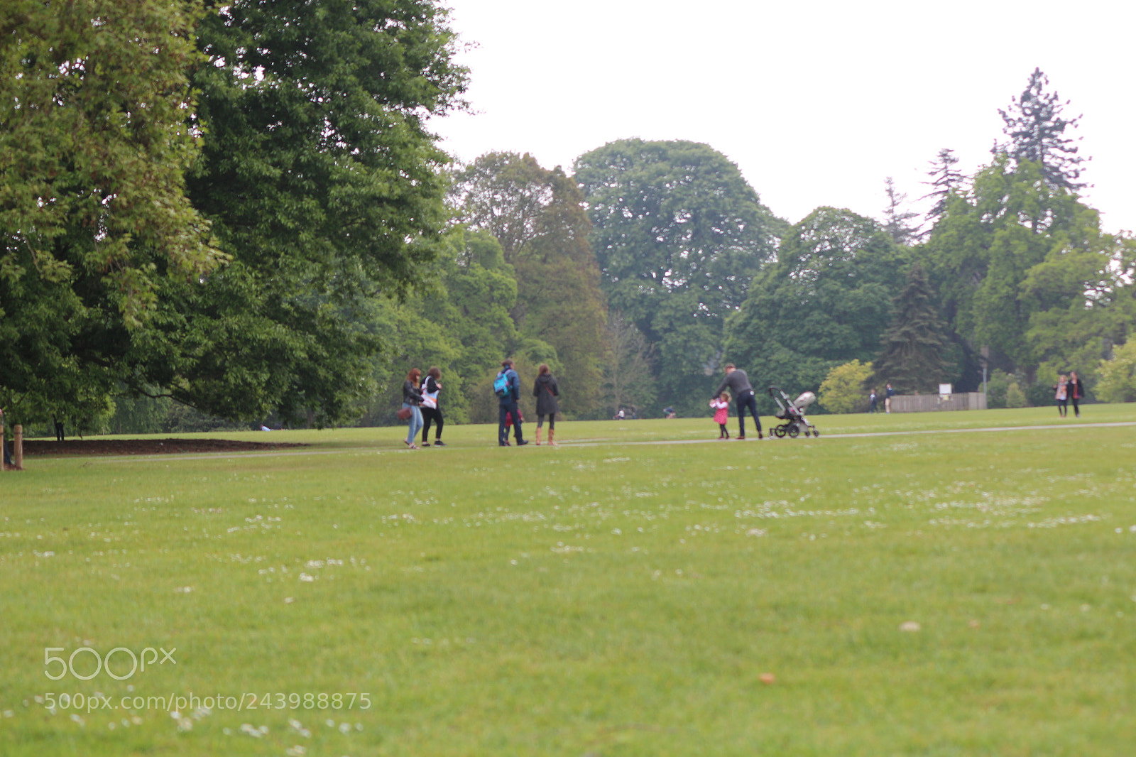 Canon EOS 650D (EOS Rebel T4i / EOS Kiss X6i) sample photo. Img photography