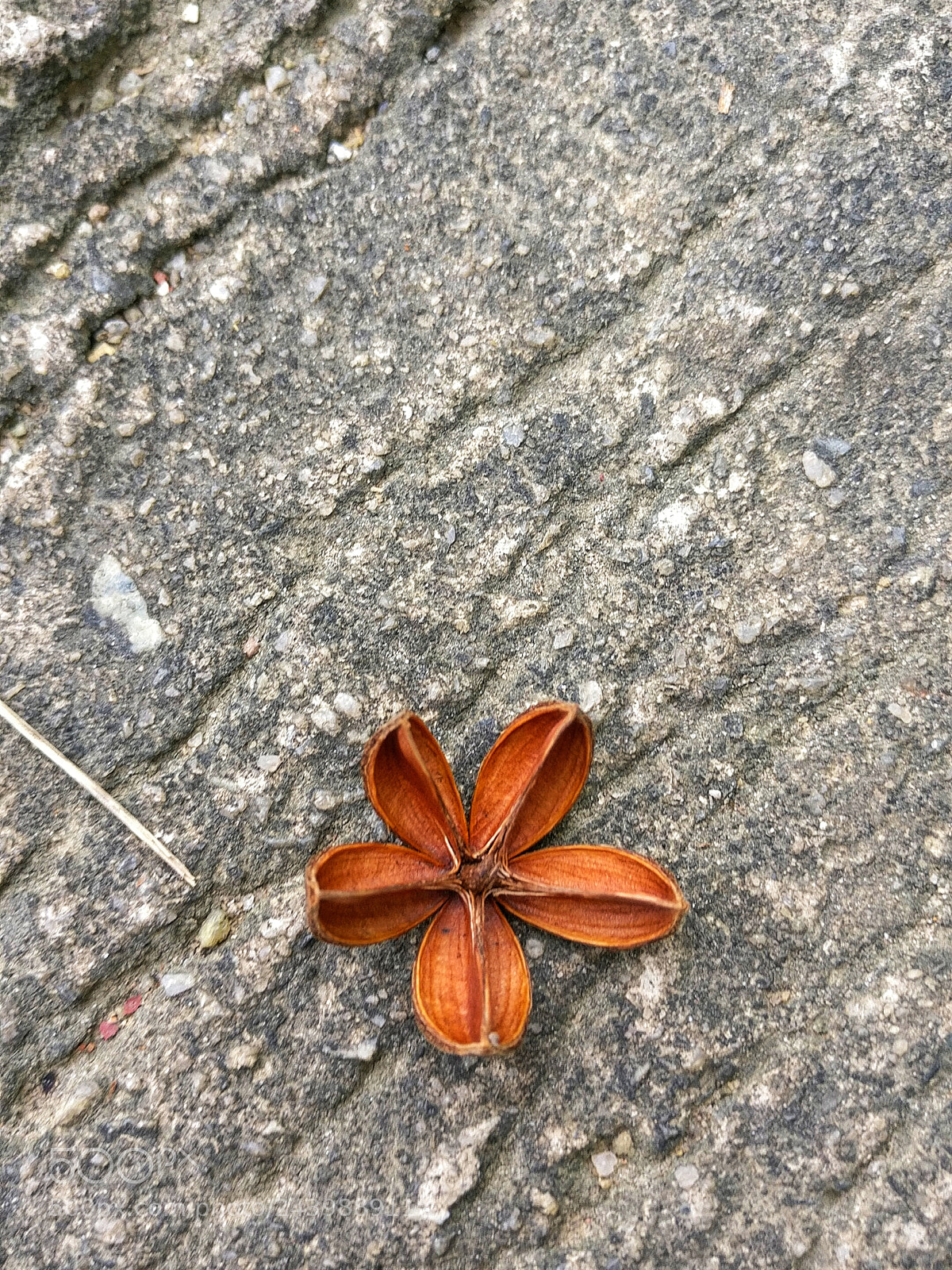 OnePlus A3010 sample photo. Untitled photography