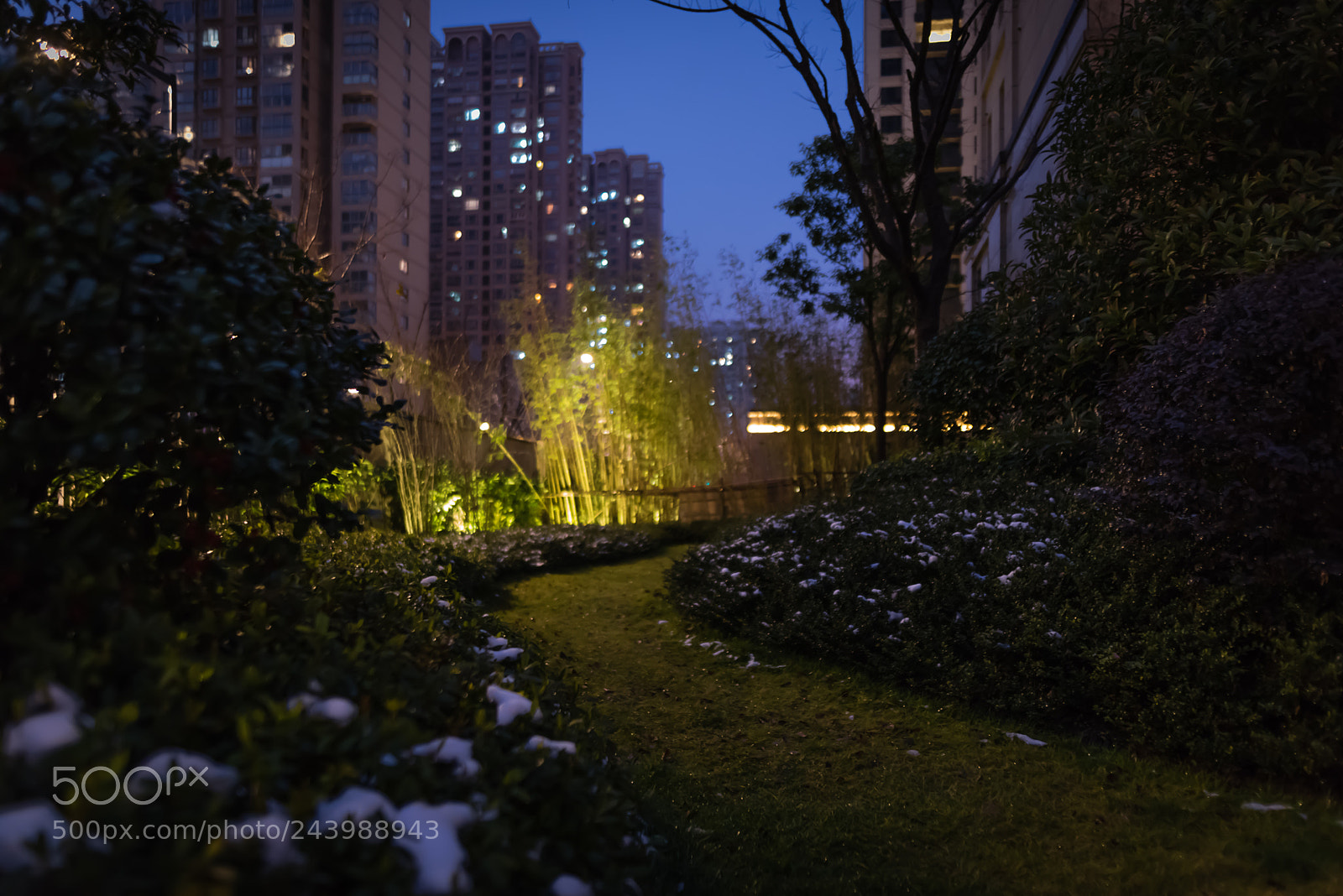 Nikon D810 sample photo. 亮点 photography