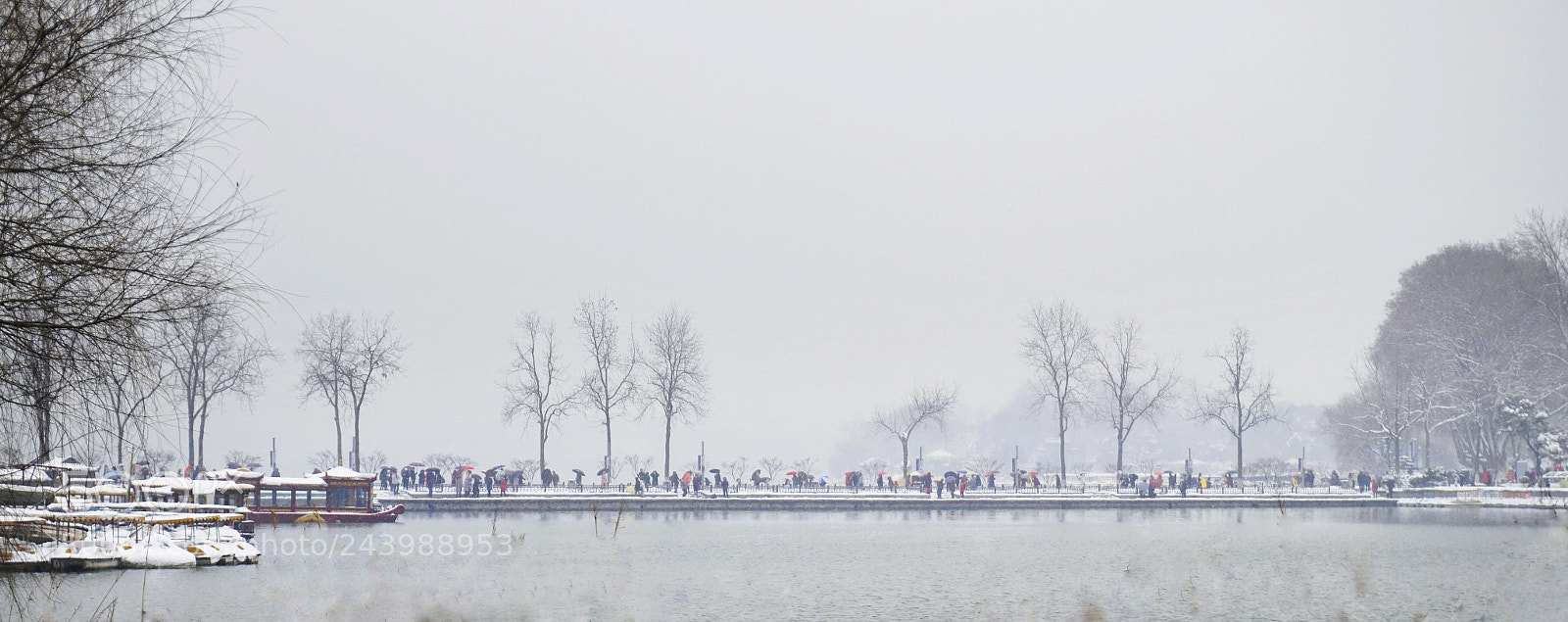 Sony Alpha a5000 (ILCE 5000) sample photo. Xuanwu park is snowing photography