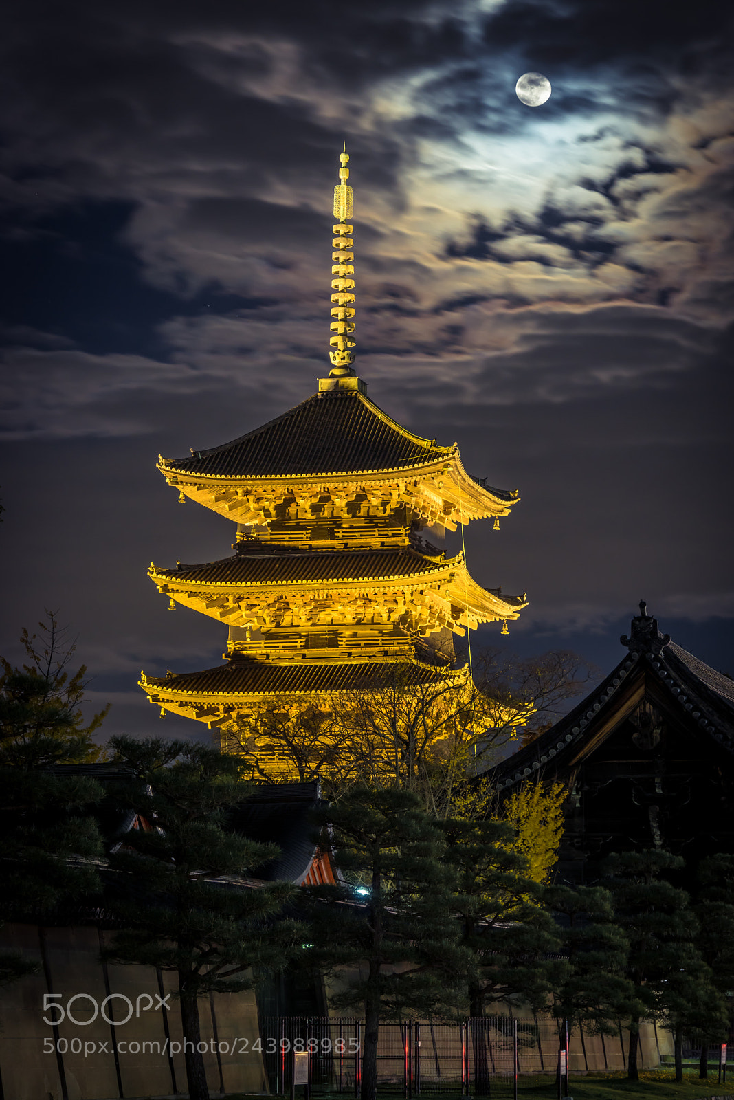 Sony a7R sample photo. Toji night photography