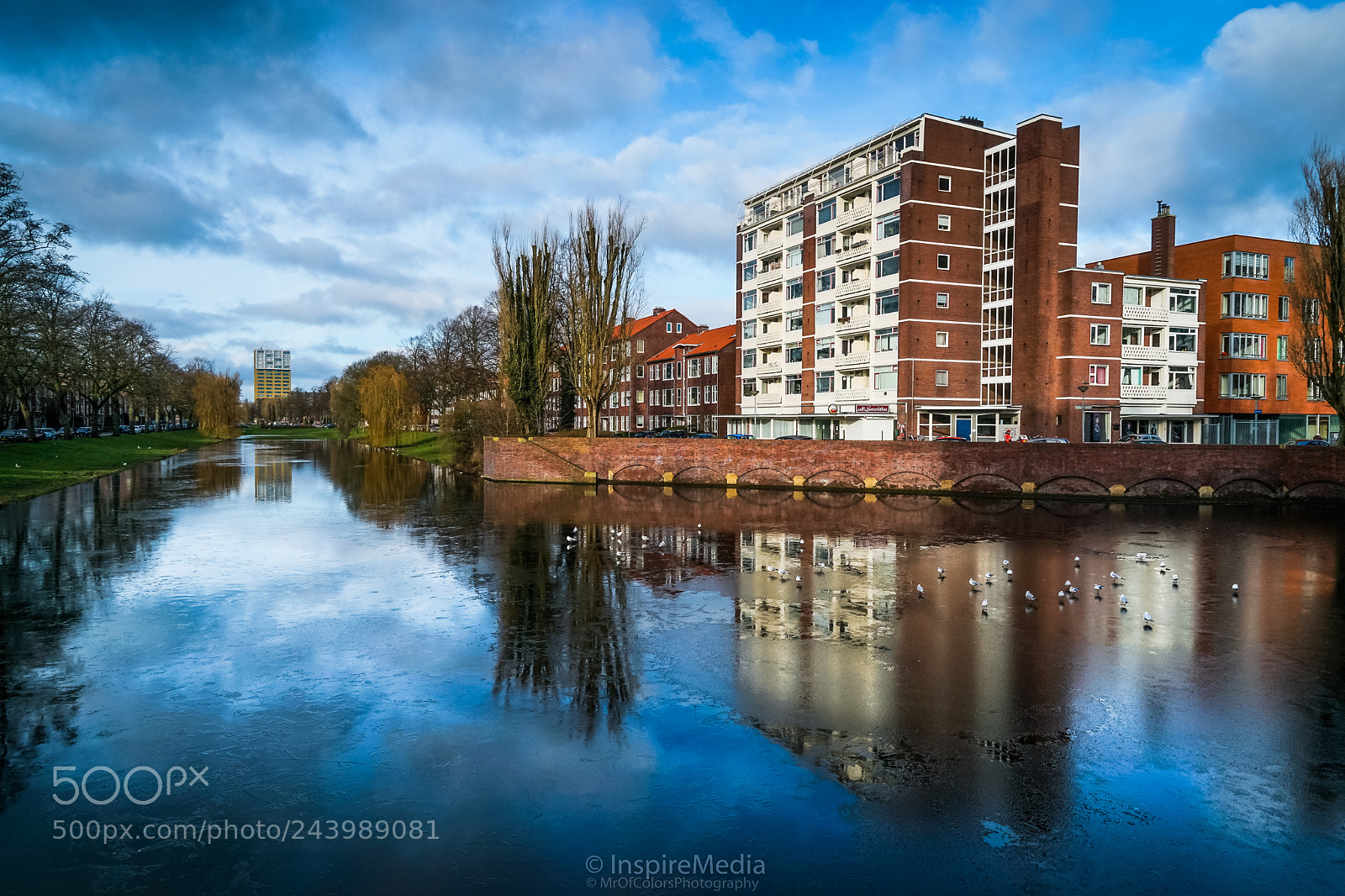 Sony a7 sample photo. Oosterpark-wijk groningen testing the photography