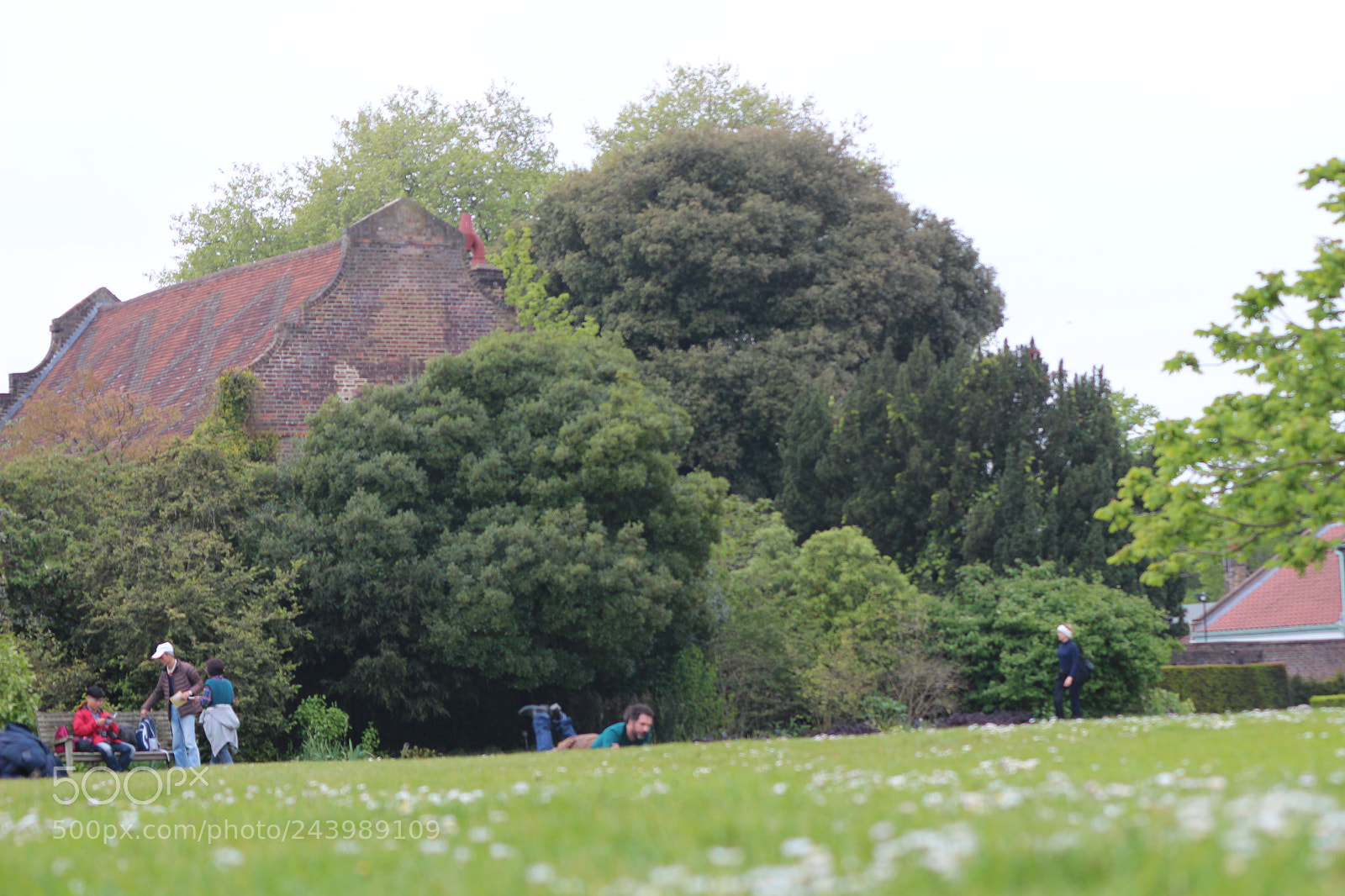Canon EOS 650D (EOS Rebel T4i / EOS Kiss X6i) sample photo. Img photography