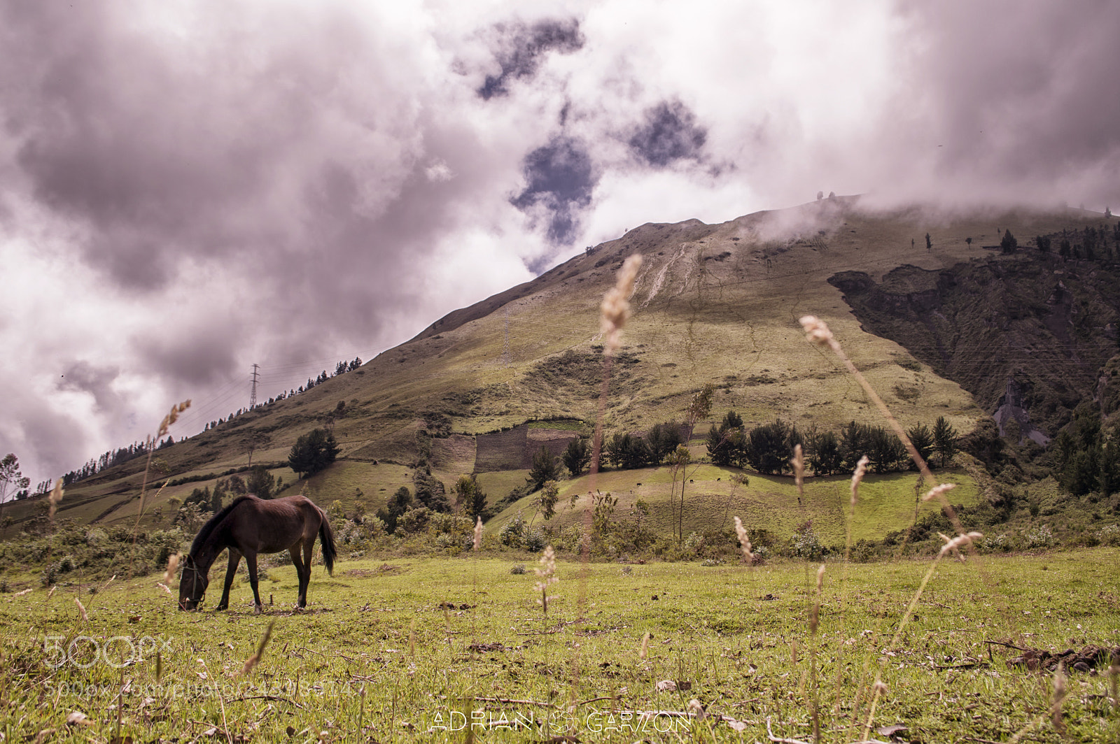 Nikon D3200 sample photo. Pradera. photography