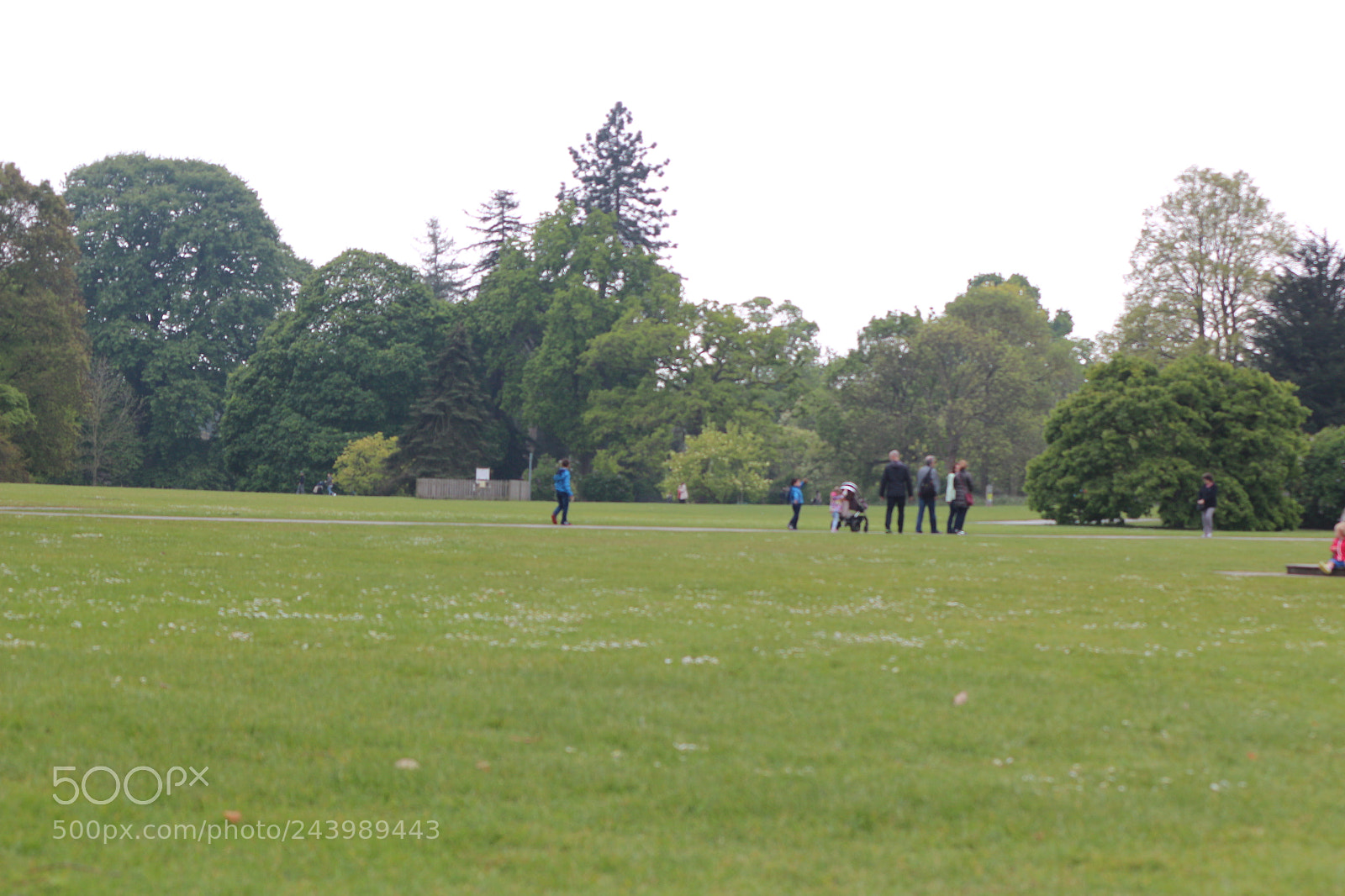 Canon EOS 650D (EOS Rebel T4i / EOS Kiss X6i) sample photo. Img photography
