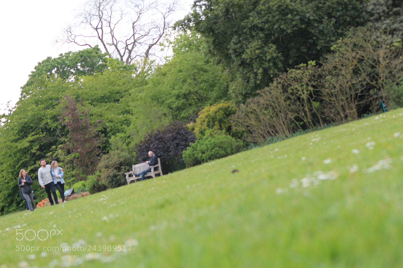 Canon EOS 650D (EOS Rebel T4i / EOS Kiss X6i) sample photo. Img photography
