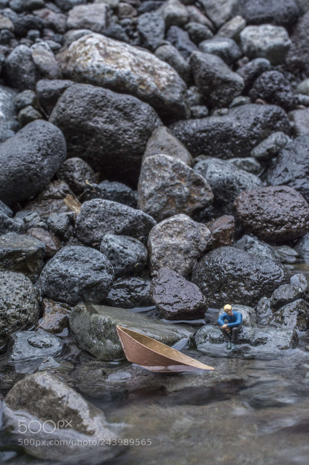 Nikon D7200 sample photo. Isolated photography