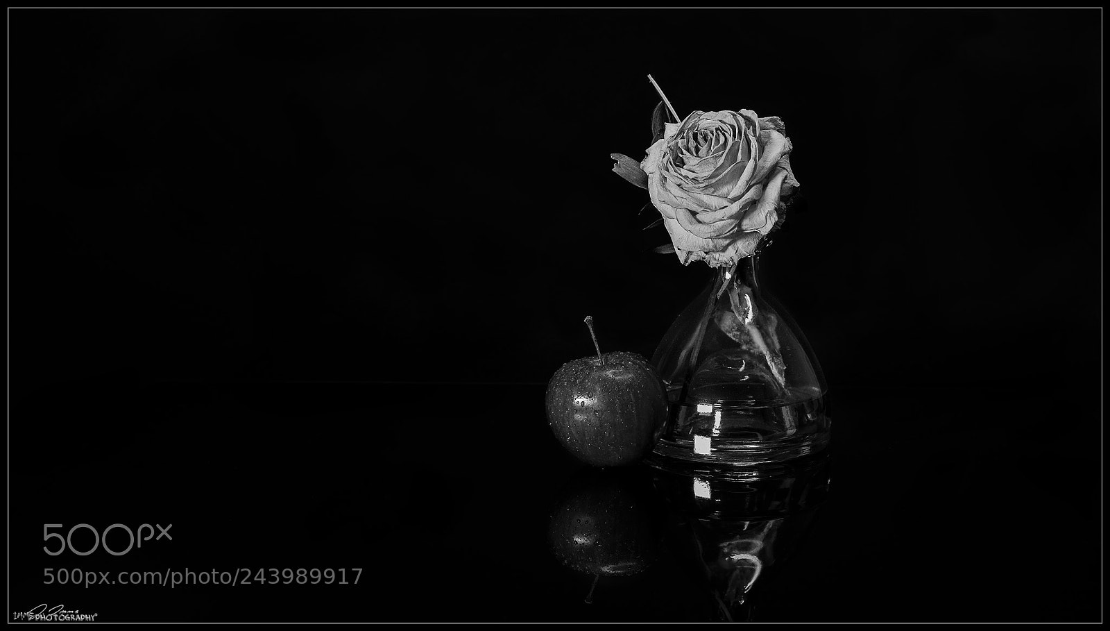 Leica M Monochrom (Typ 246) sample photo. Apple & rose photography