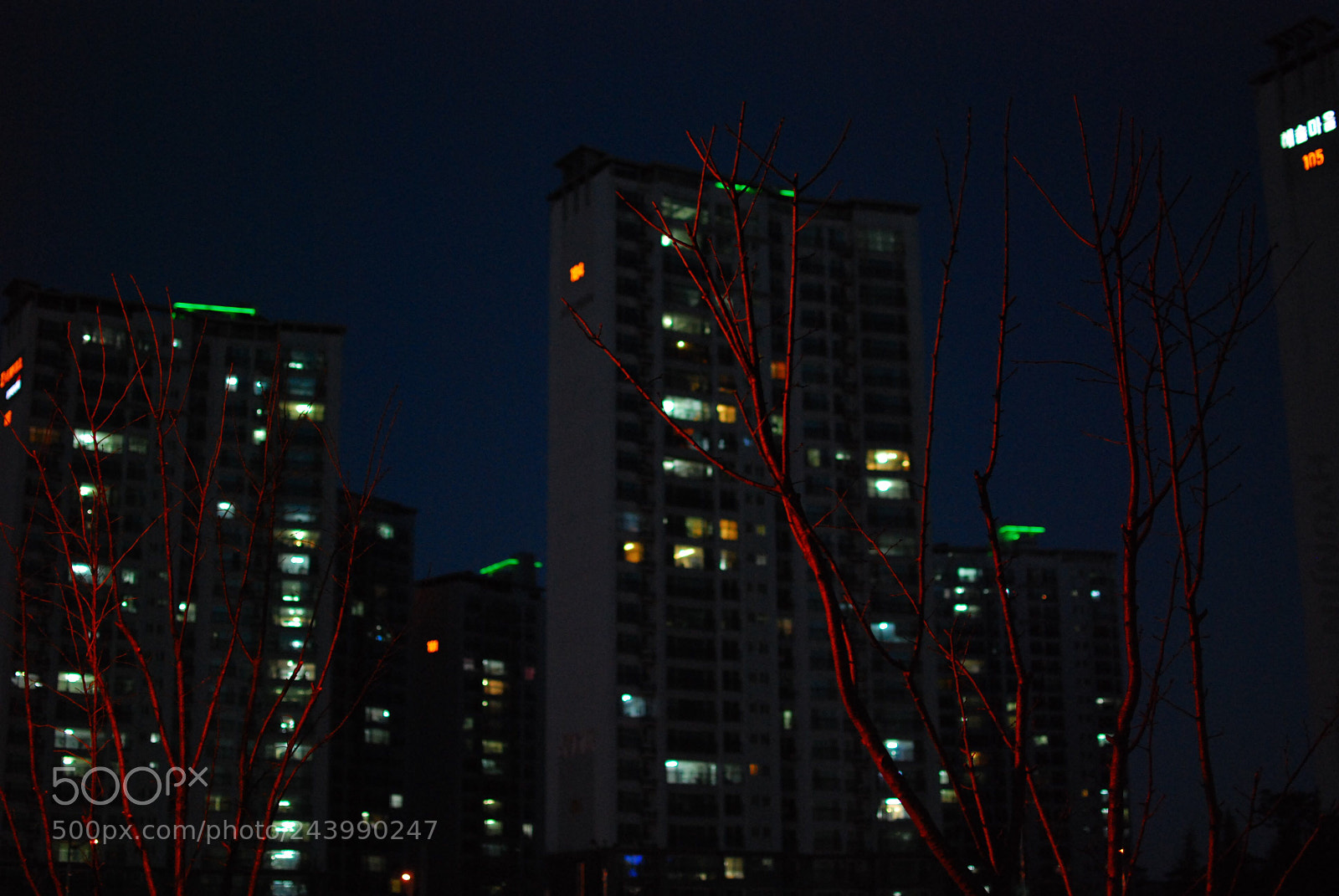 Nikon D80 sample photo. Untitled photography