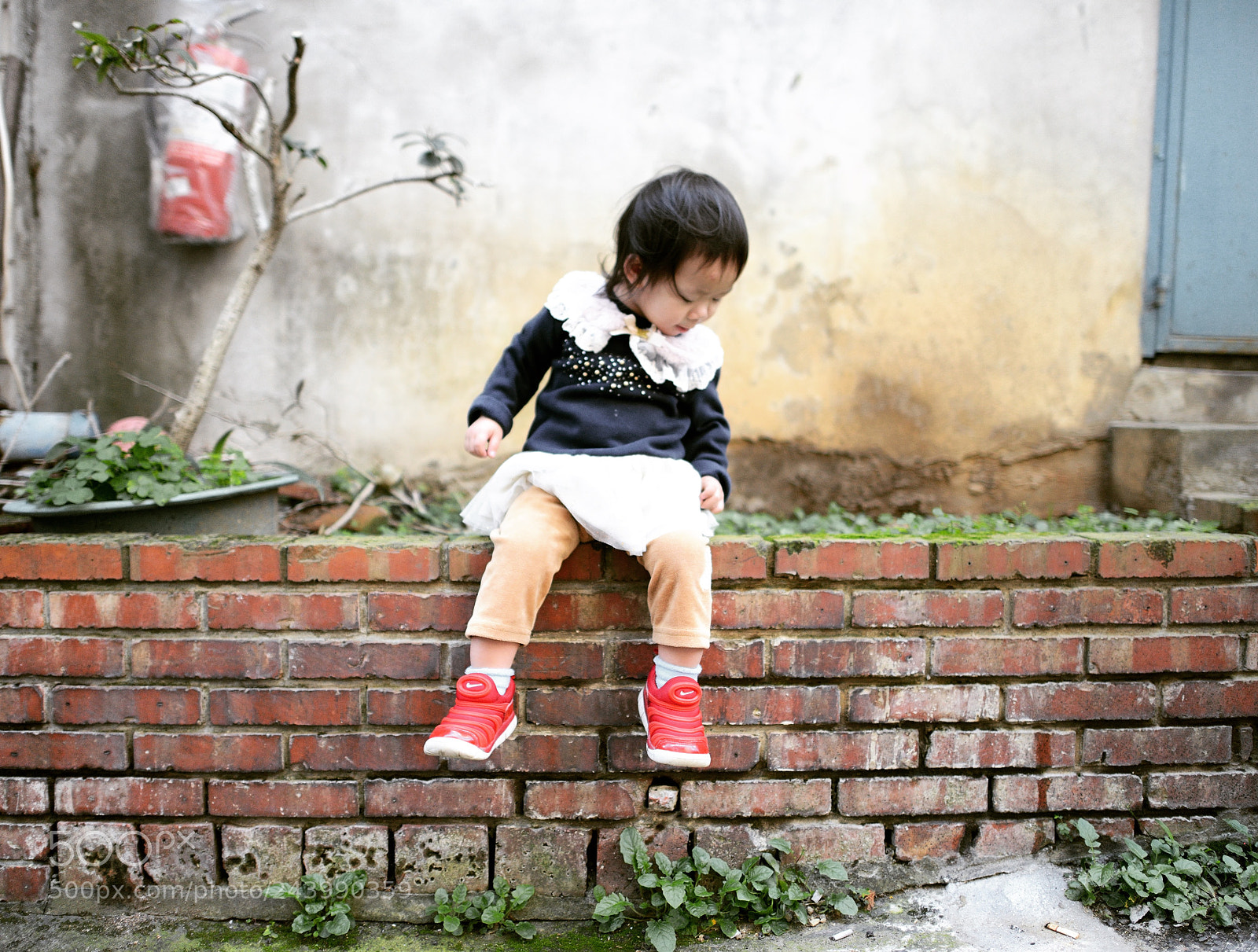 Nikon D800 sample photo. Untitled photography