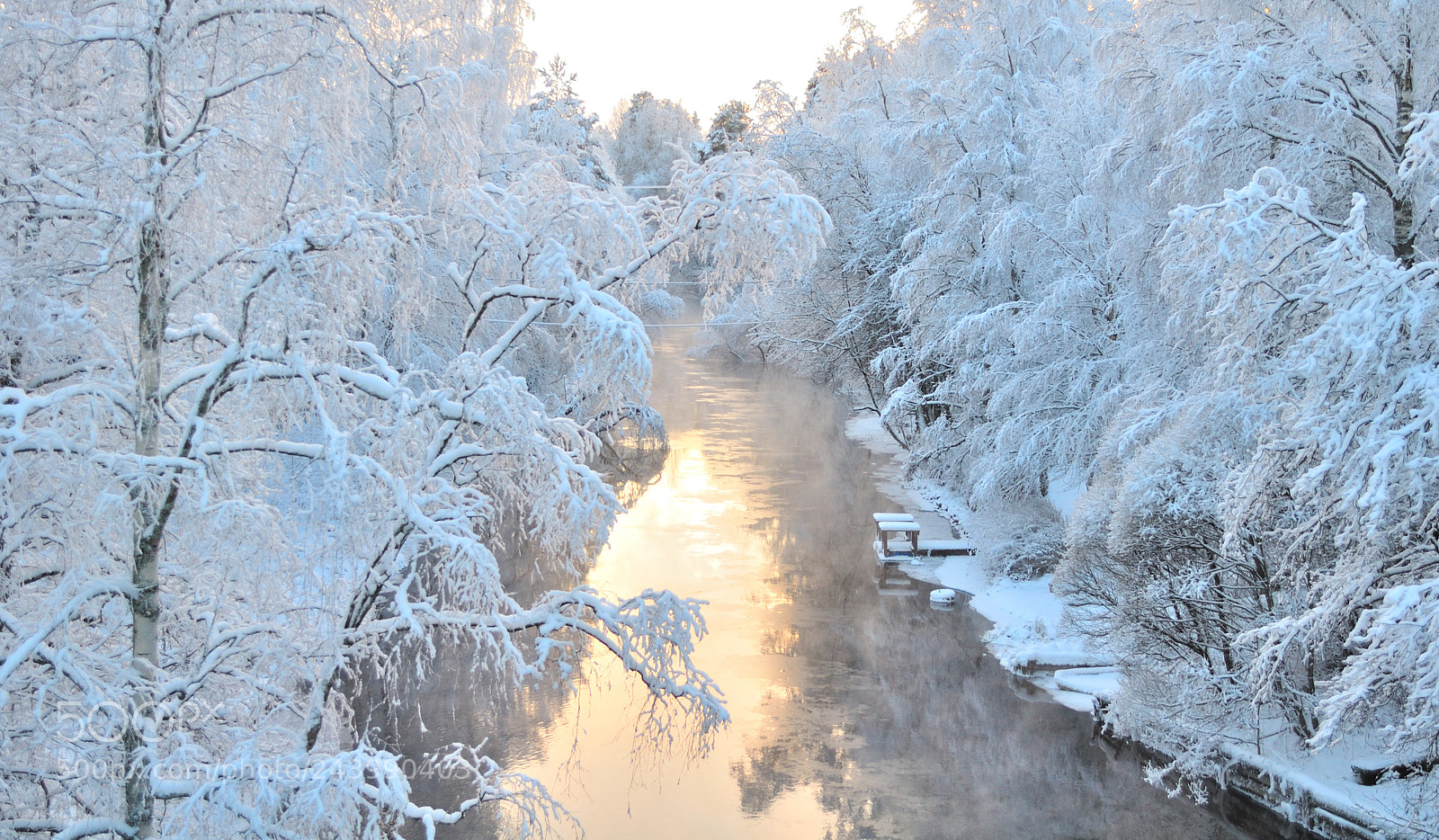 Nikon D5000 sample photo. Cold! photography
