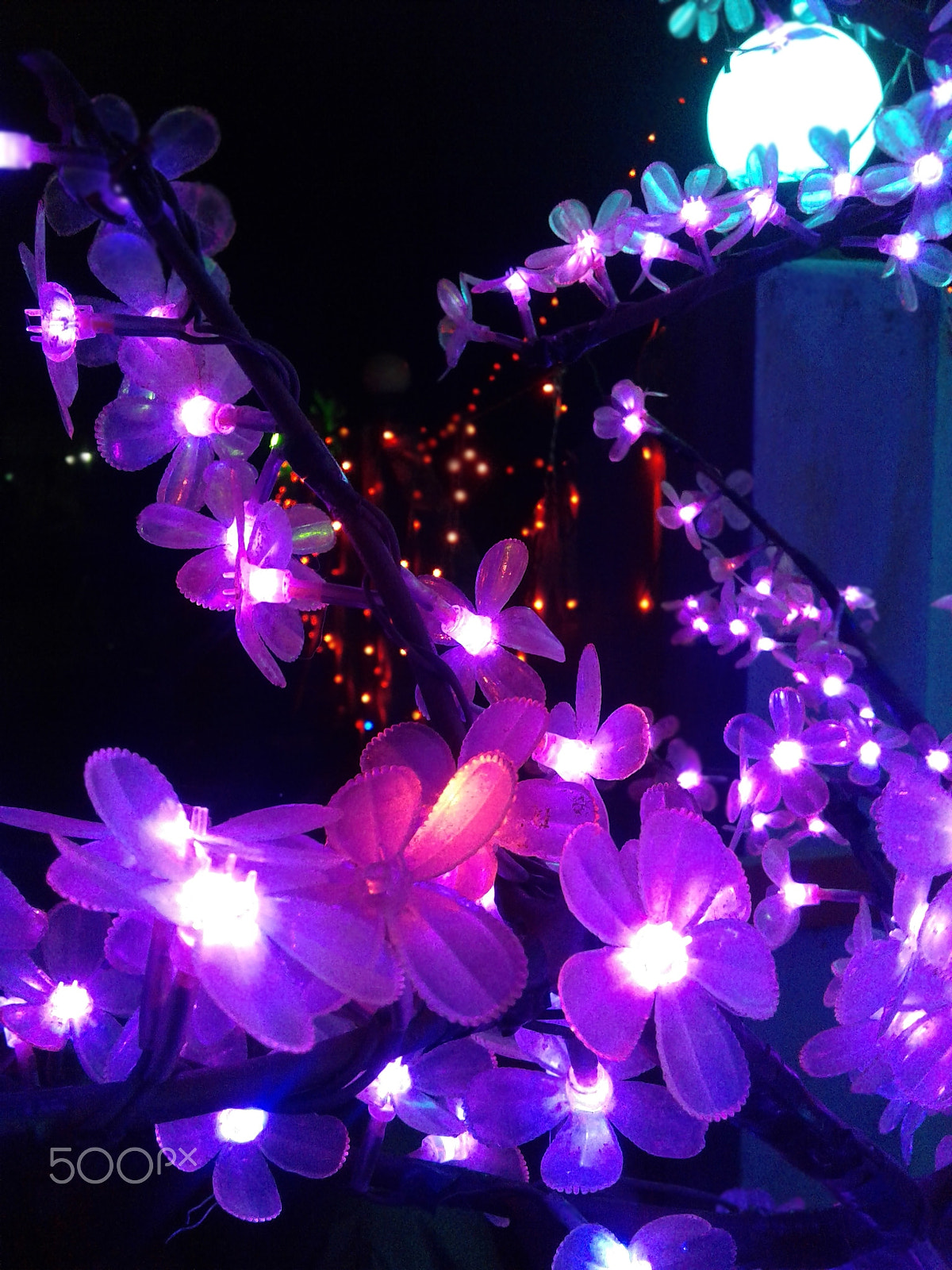 Samsung Galaxy J1 Ace sample photo. Ledoutdoortree photography
