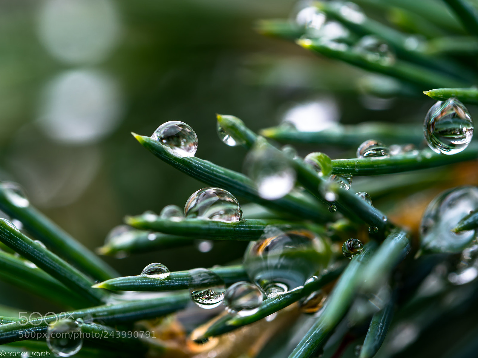 Olympus OM-D E-M1 Mark II sample photo. On a rainy day photography
