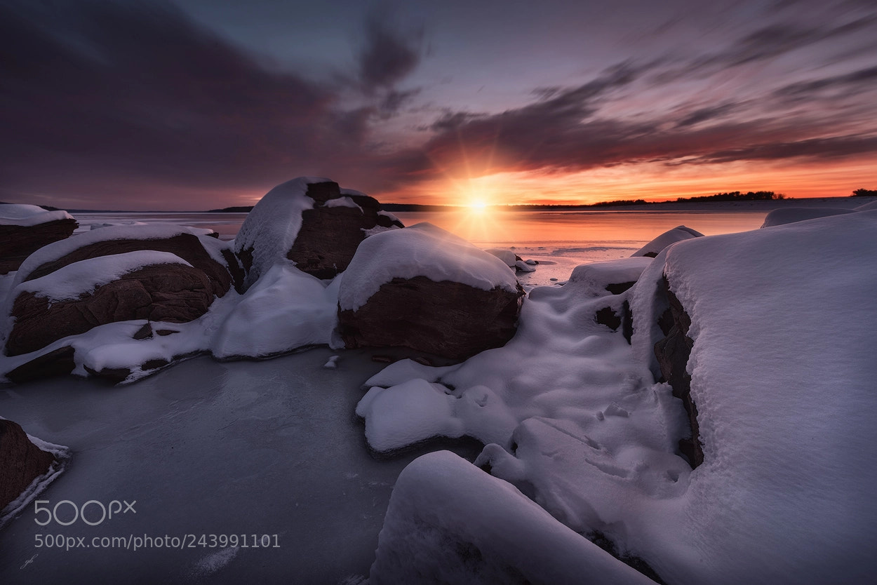 Nikon D810 sample photo. Assouan reservoir sunrise photography