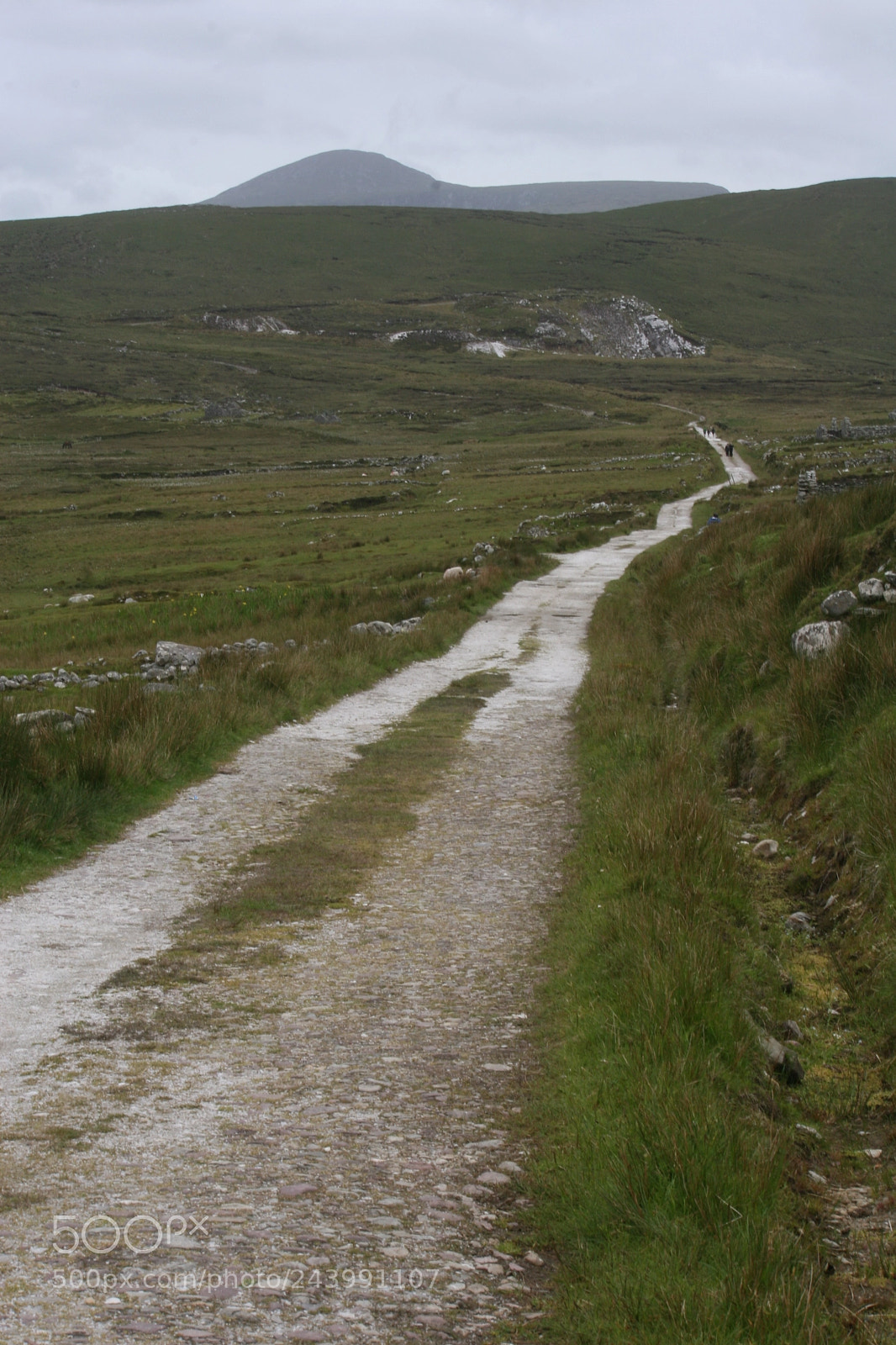 Canon EOS 20D sample photo. Road to the top photography