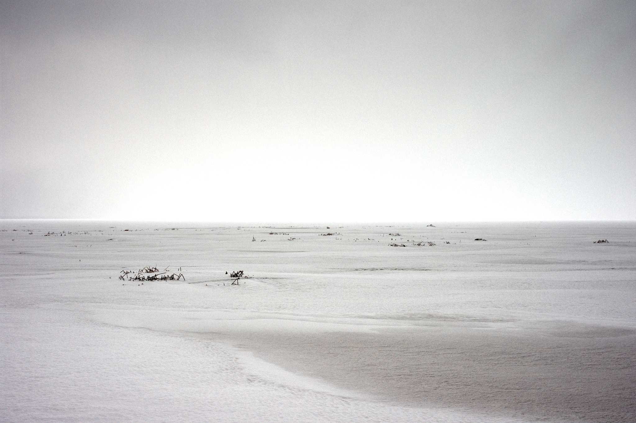 Pentax K-7 + Pentax smc DA 35mm F2.4 AL sample photo. Liminka bay wetlands, winter photography