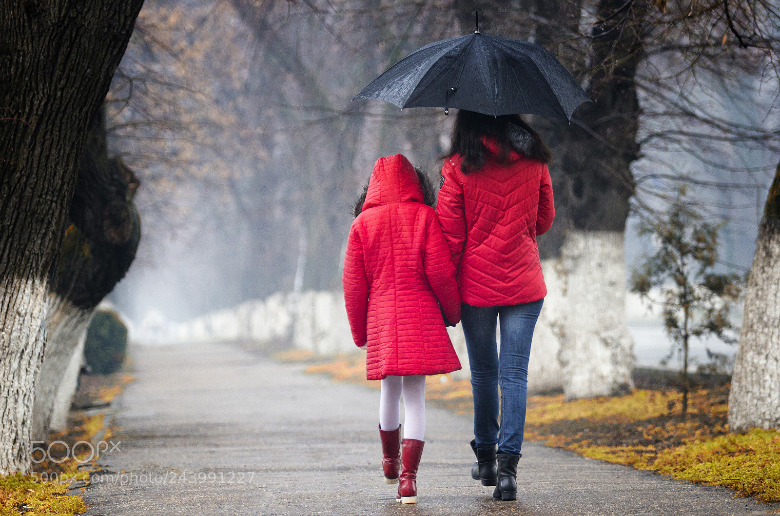 Canon EOS 60D sample photo. Tr rain photography