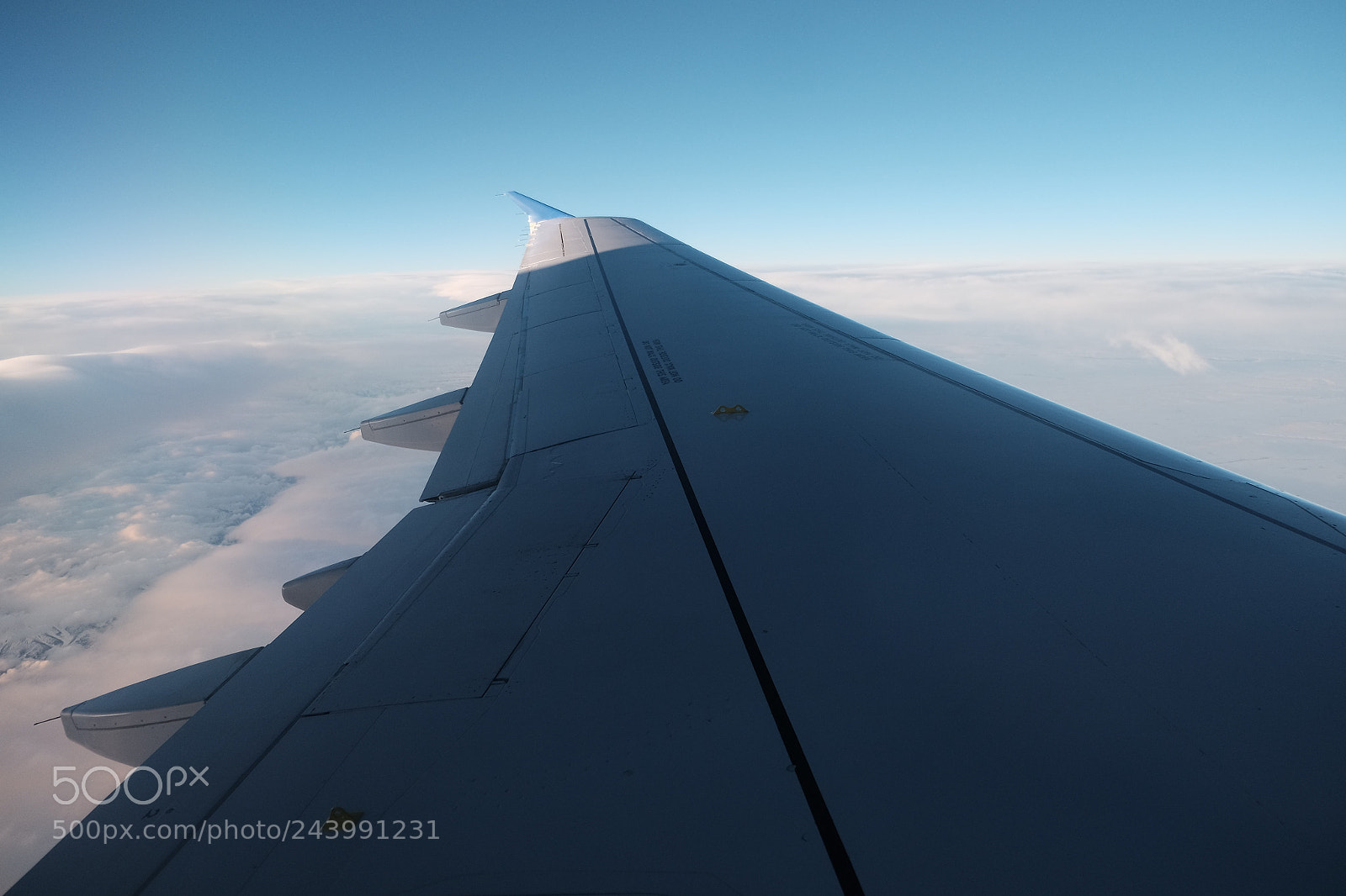Fujifilm X-T1 sample photo. Wing photography