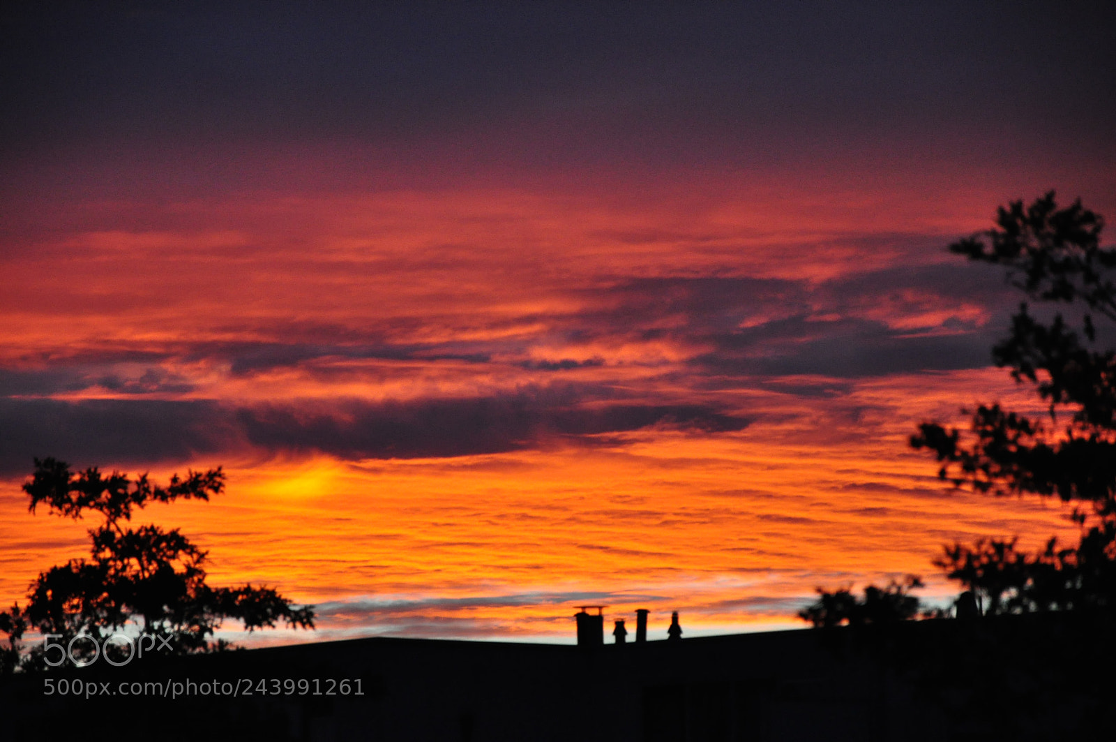 Nikon D90 sample photo. Fire in the sky photography