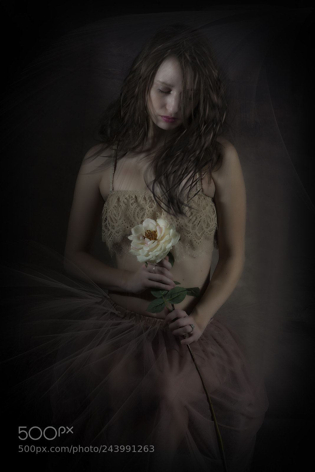Nikon D600 sample photo. Untitled photography
