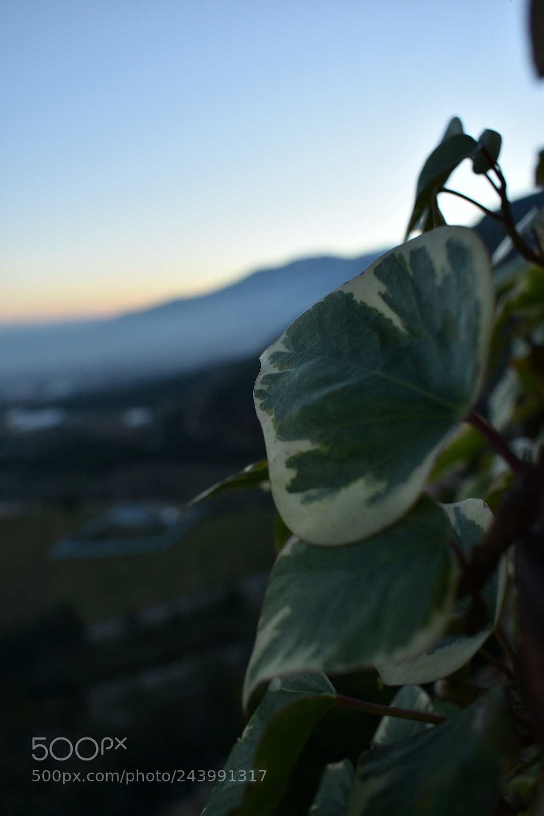 Nikon D3400 sample photo. Unknown photography