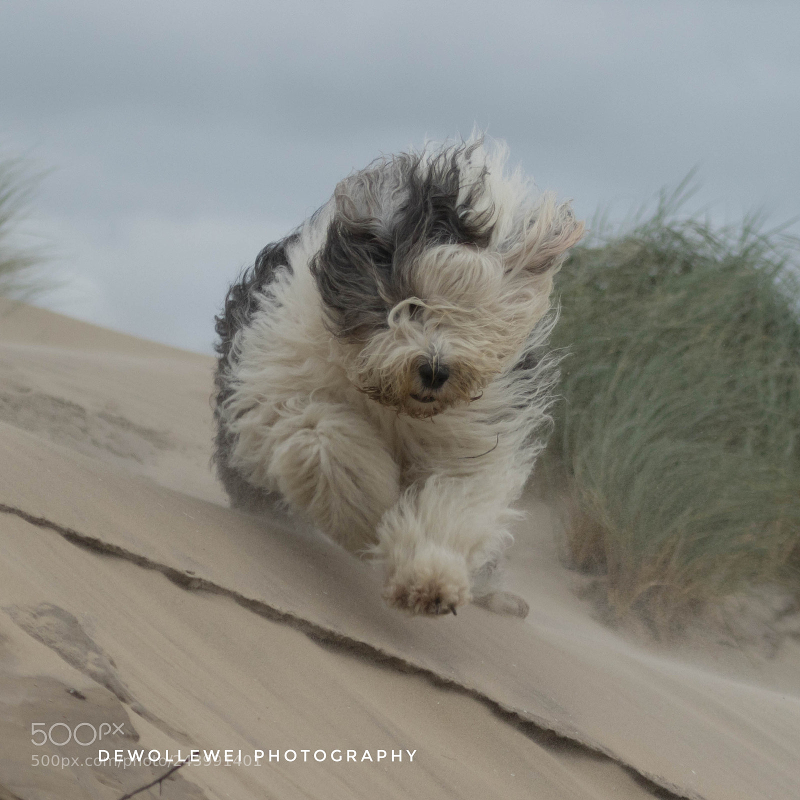 Canon EOS 7D Mark II sample photo. Beach here i come photography